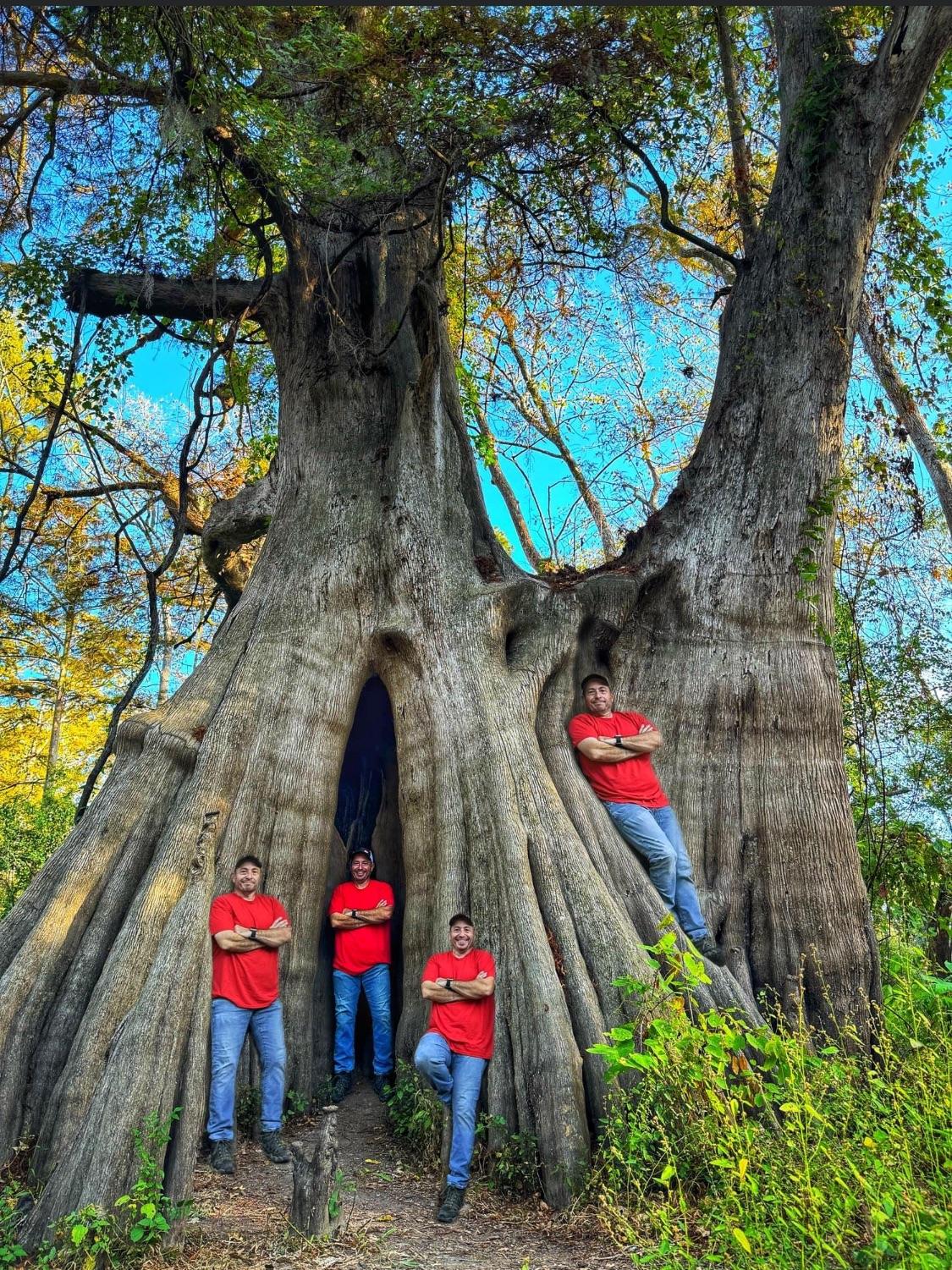 Biggest bald cypress in the USA. Cat Island Louisiana r/hiking