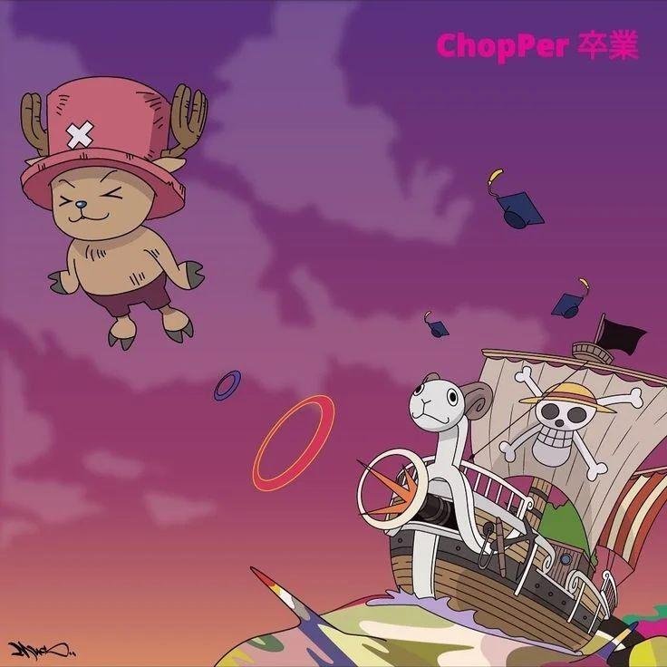Chopper ( in luffy voice iykyk ) r/MemePiece