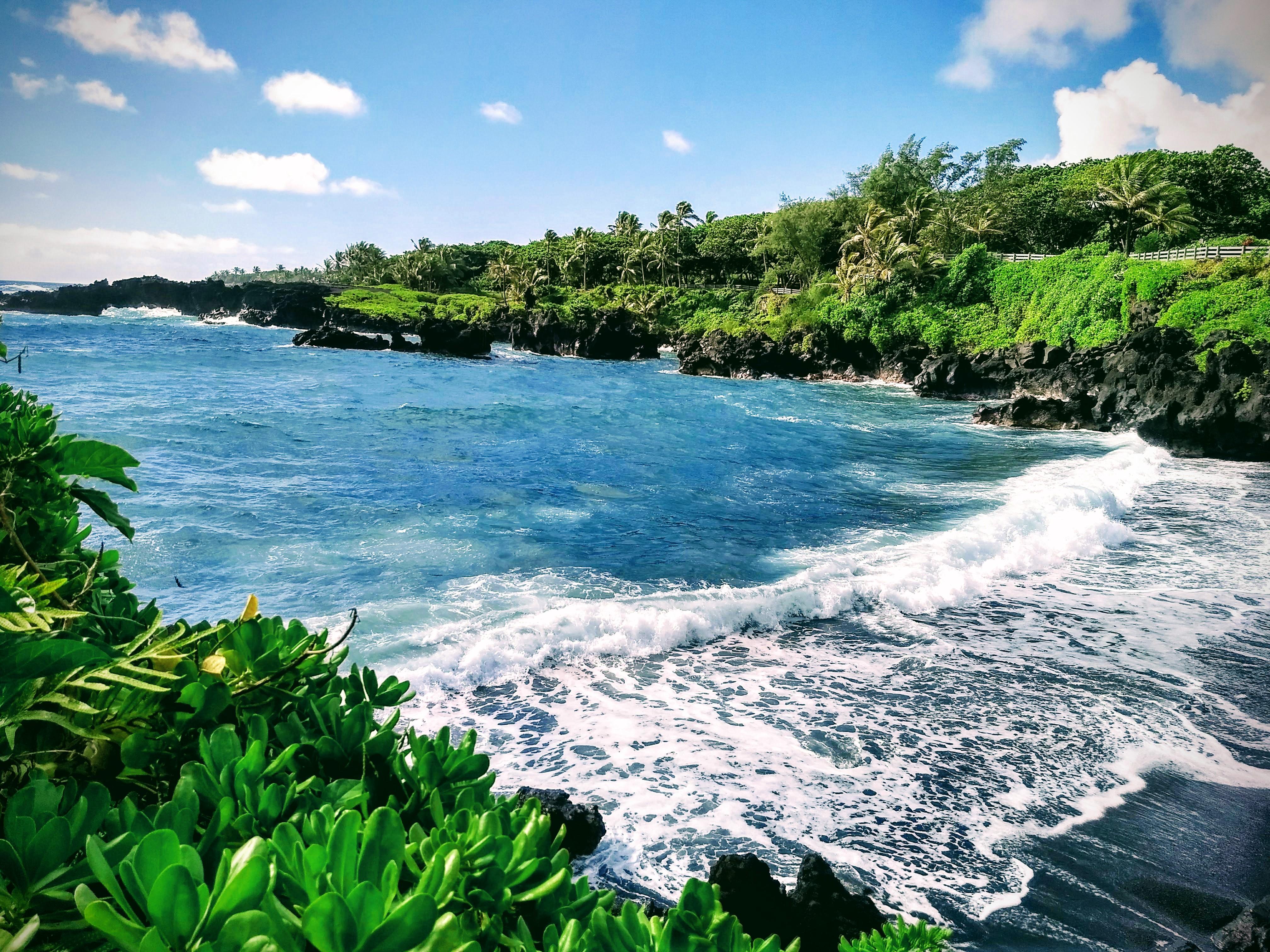 Waianapanapa Black Sand Beach Maui r/travel