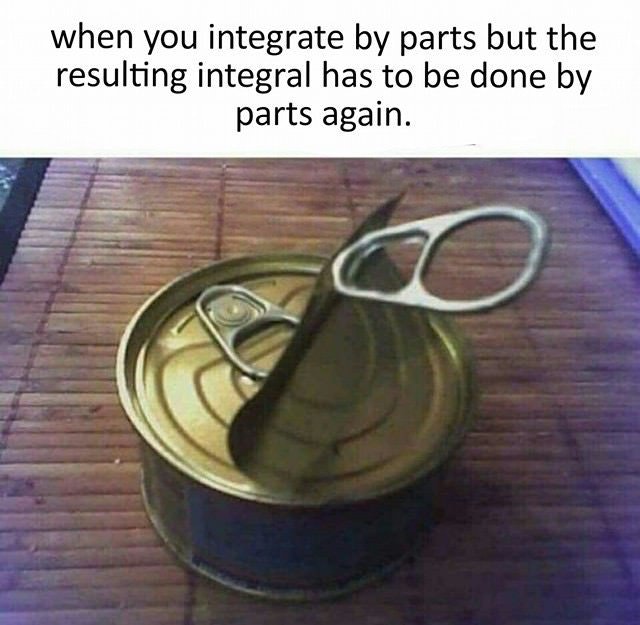 Integration by parts r/IBO