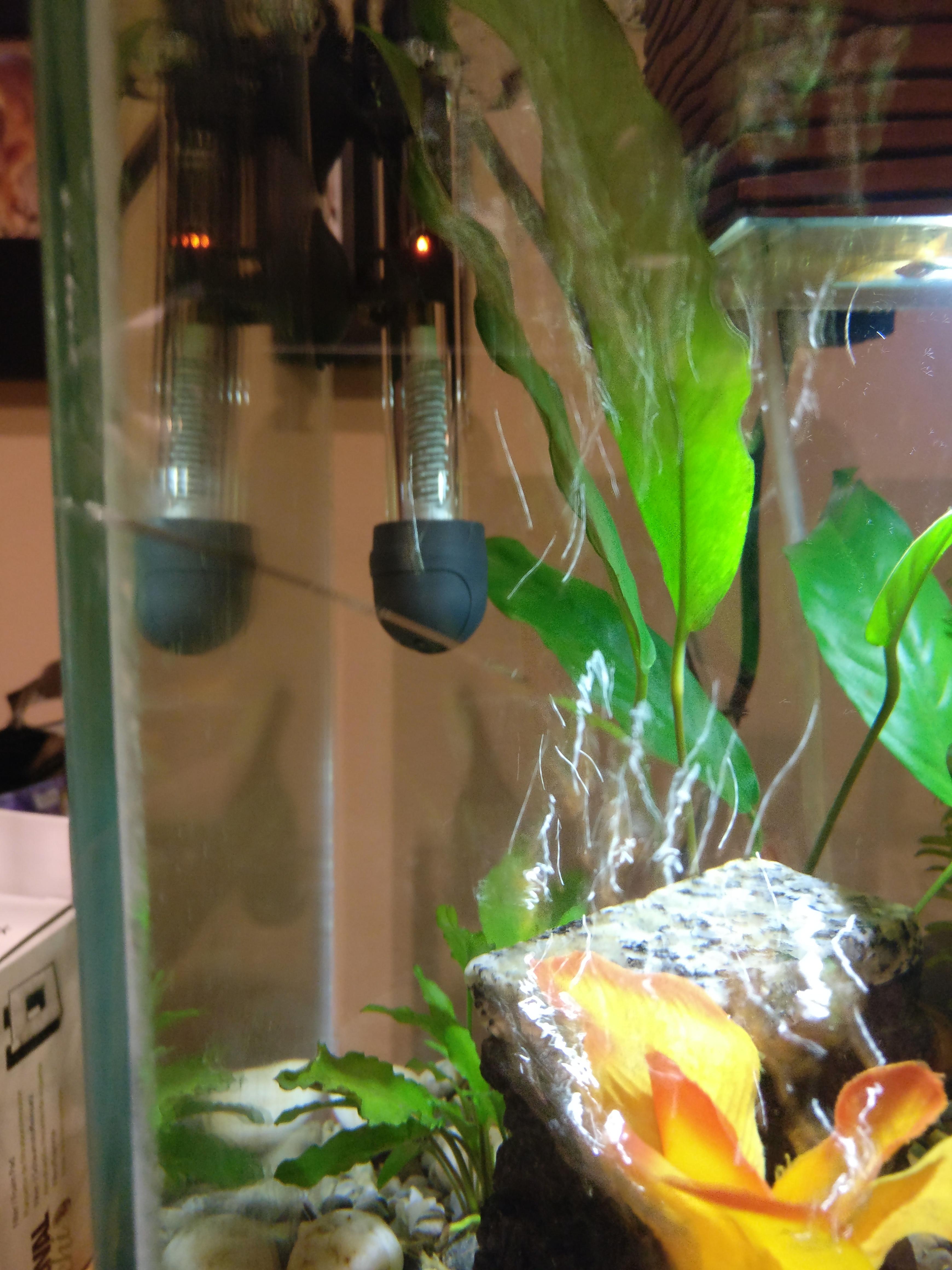 HELP my fish tank cracked!!! What do i do?!?!? r/fishtank