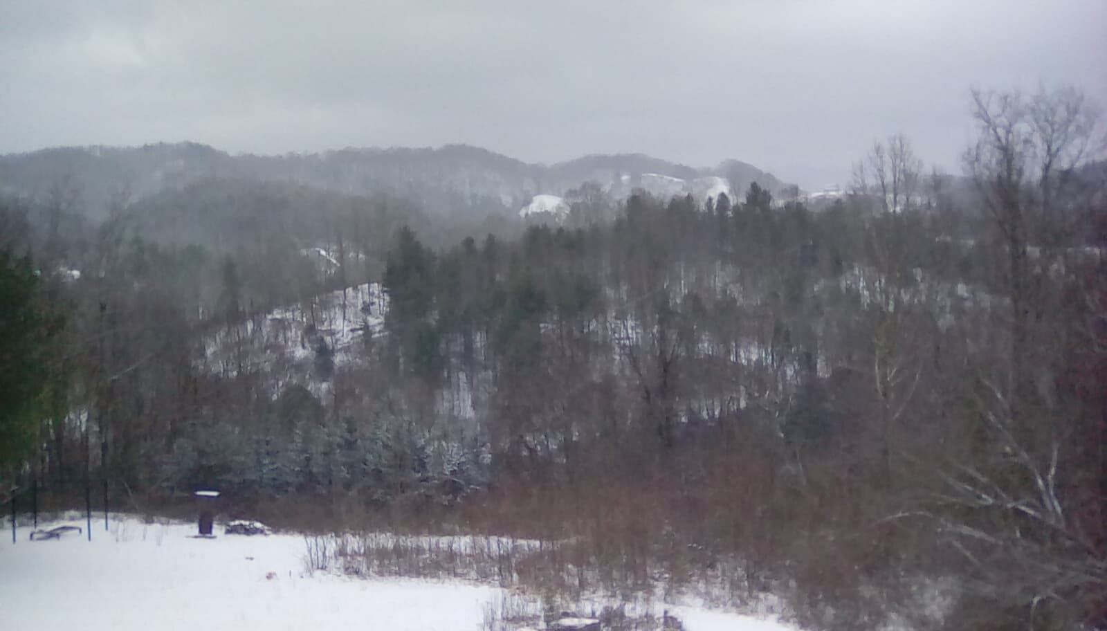 It's so hot I thought I'd post a pic from Winter. Roan Mtn, Tn. Carter