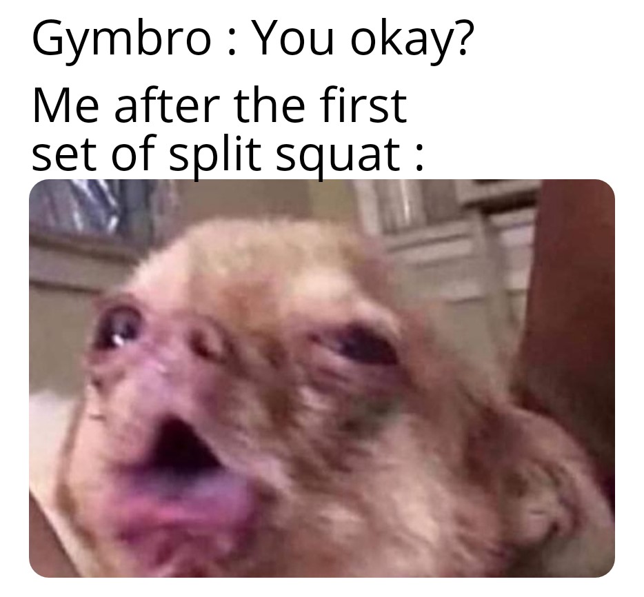 I'm okay. Just gonna throw up a little. r/GymMemes