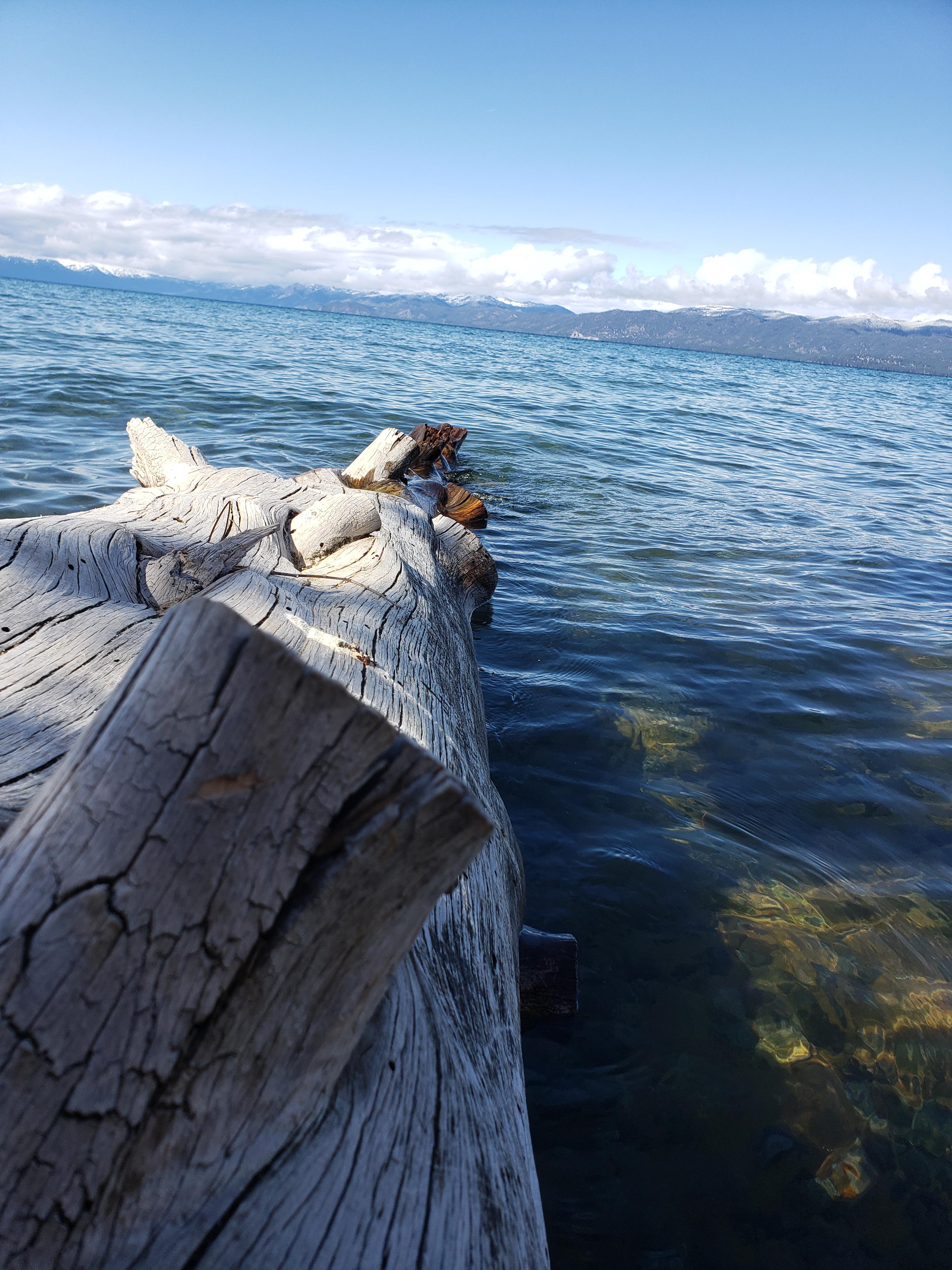Lake tahoe, California. some of the cleanest water in the country (OC