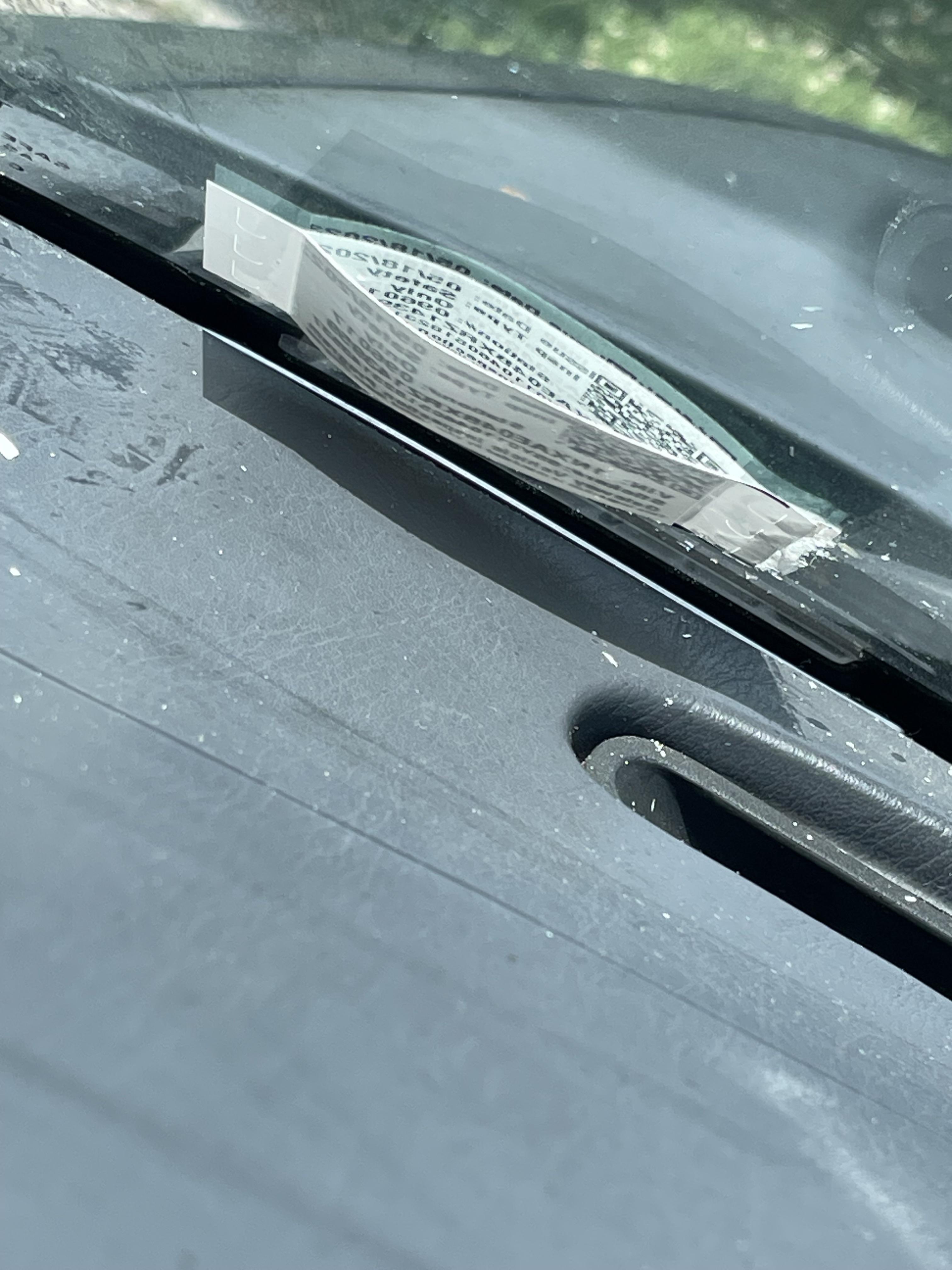 Something keeps eating my inspection stickers… mouse traps? r