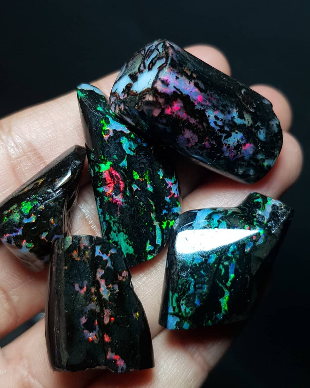Fossilised wood Opal. Photo by amazing_opal97 💖 r/RainbowEverything