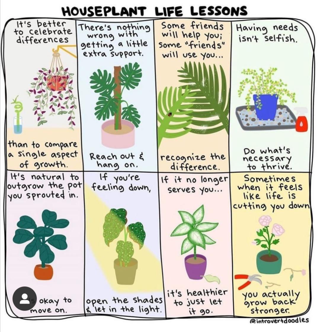 People are just plants with more complicated emotions r/houseplants