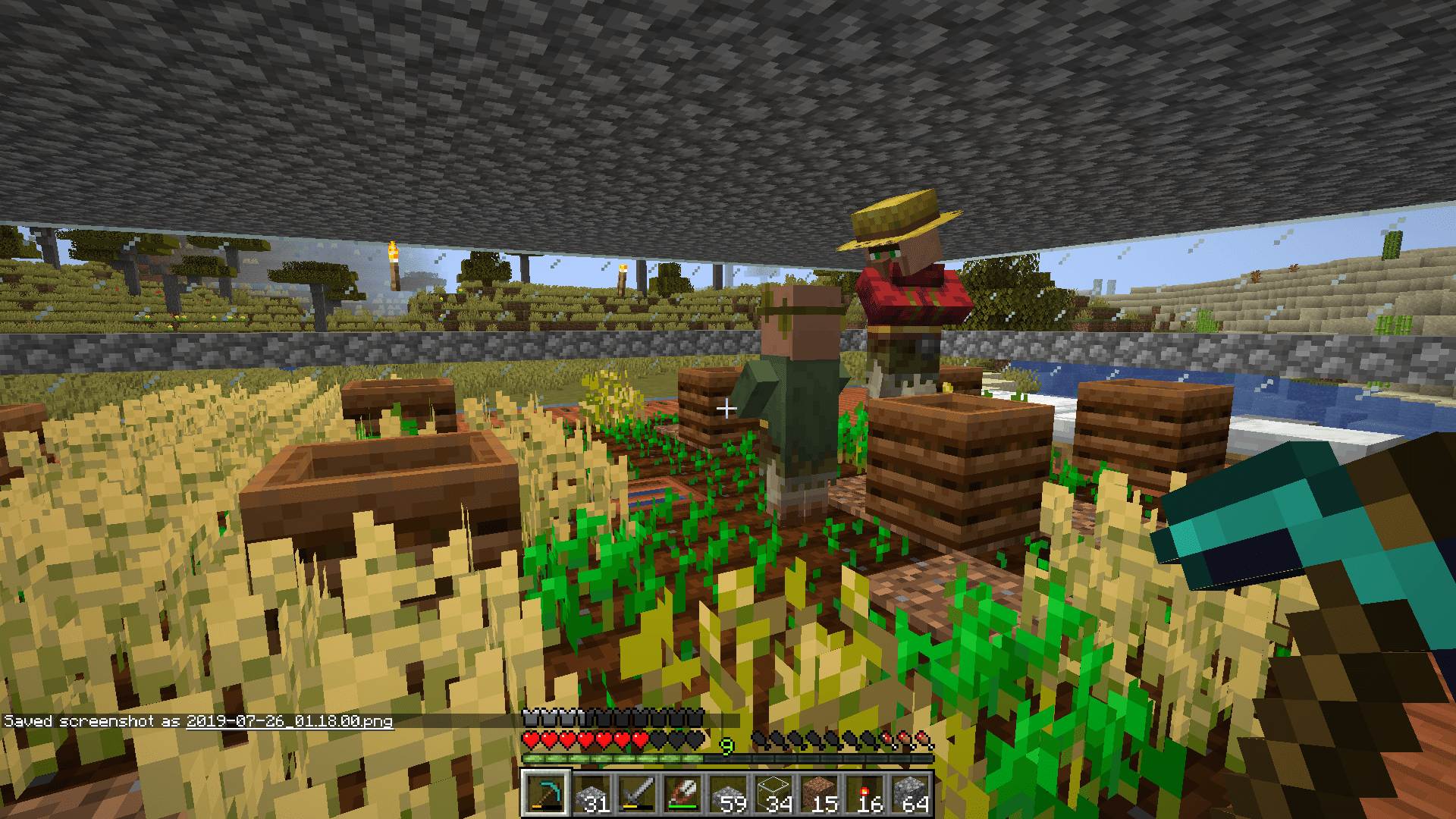 Why won't this villager a farmer? r/Minecraft
