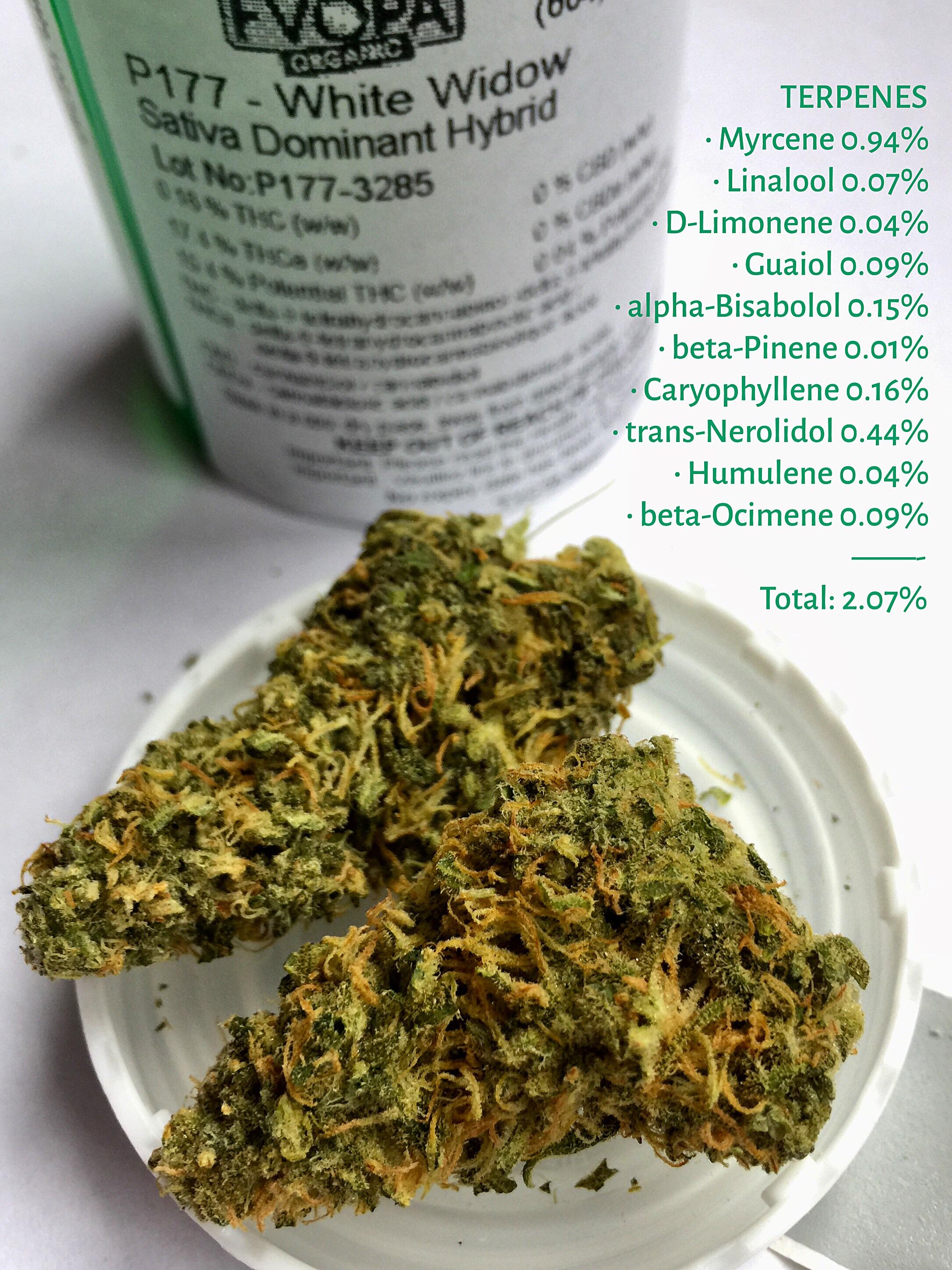 Whistler White Widow 15.4 THC/2.07 terps CanadianCannabisLPs
