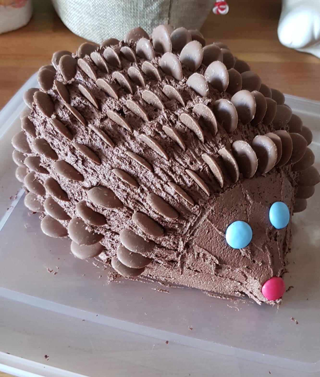 Hedgehog Cake r/cakedecorating