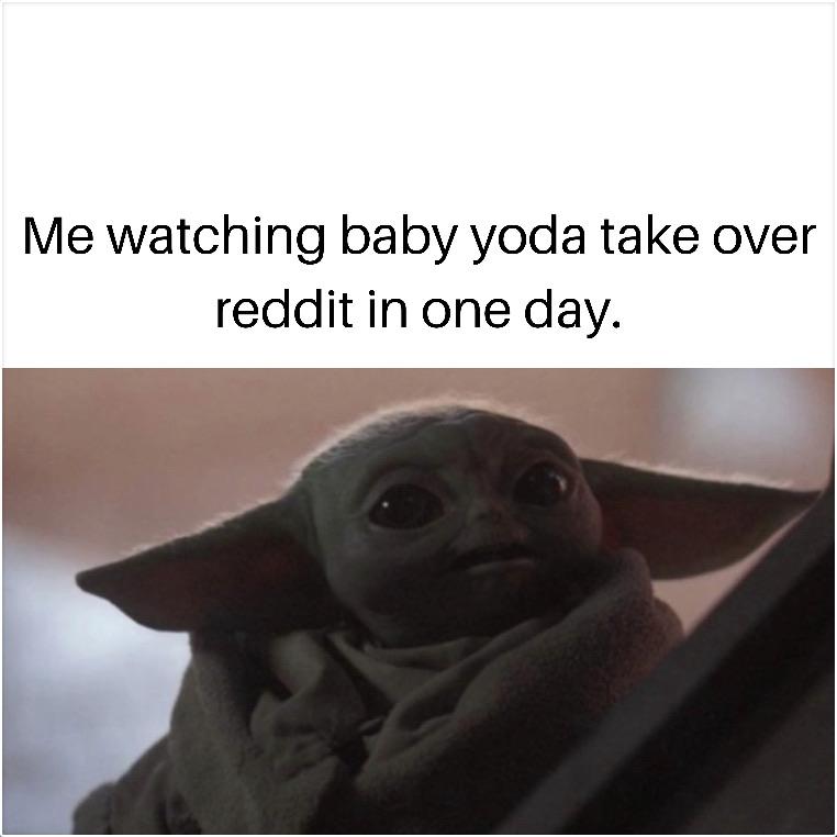 Oh Baby Yoda r/dankmemes