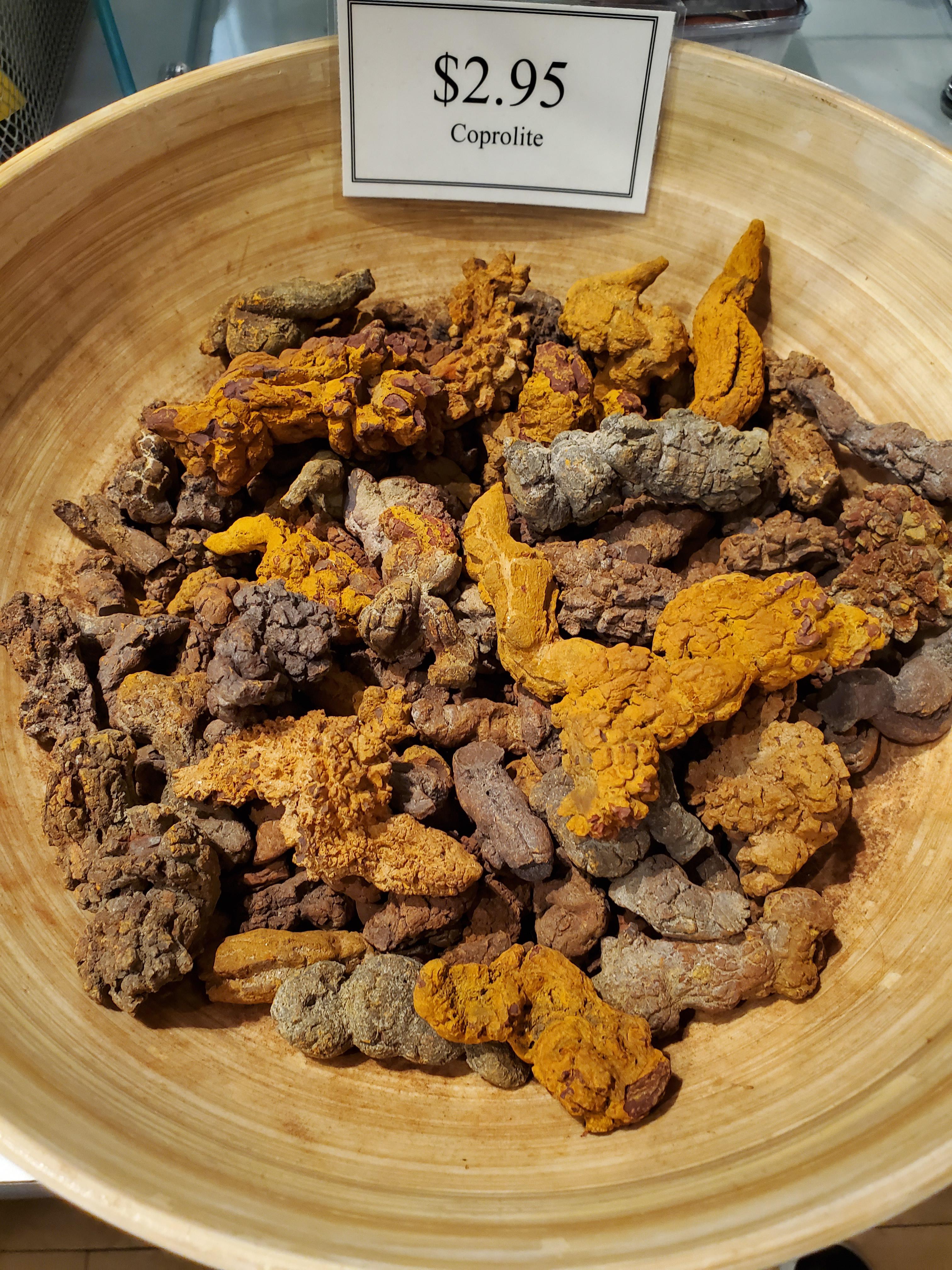 Fossilized poop. Million years old poops for sale. r/interestingasfuck
