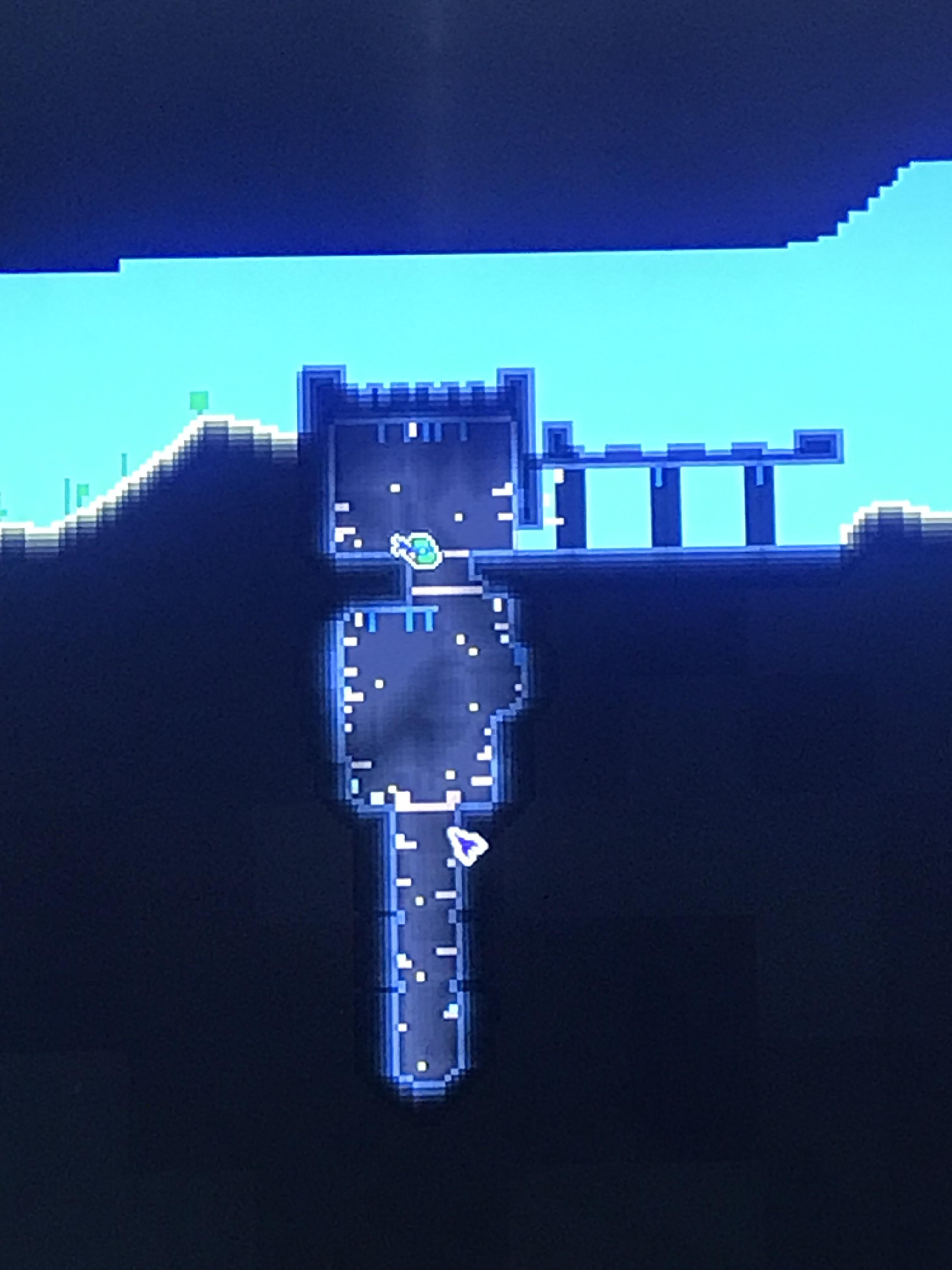 Cool dungeon r/Terraria