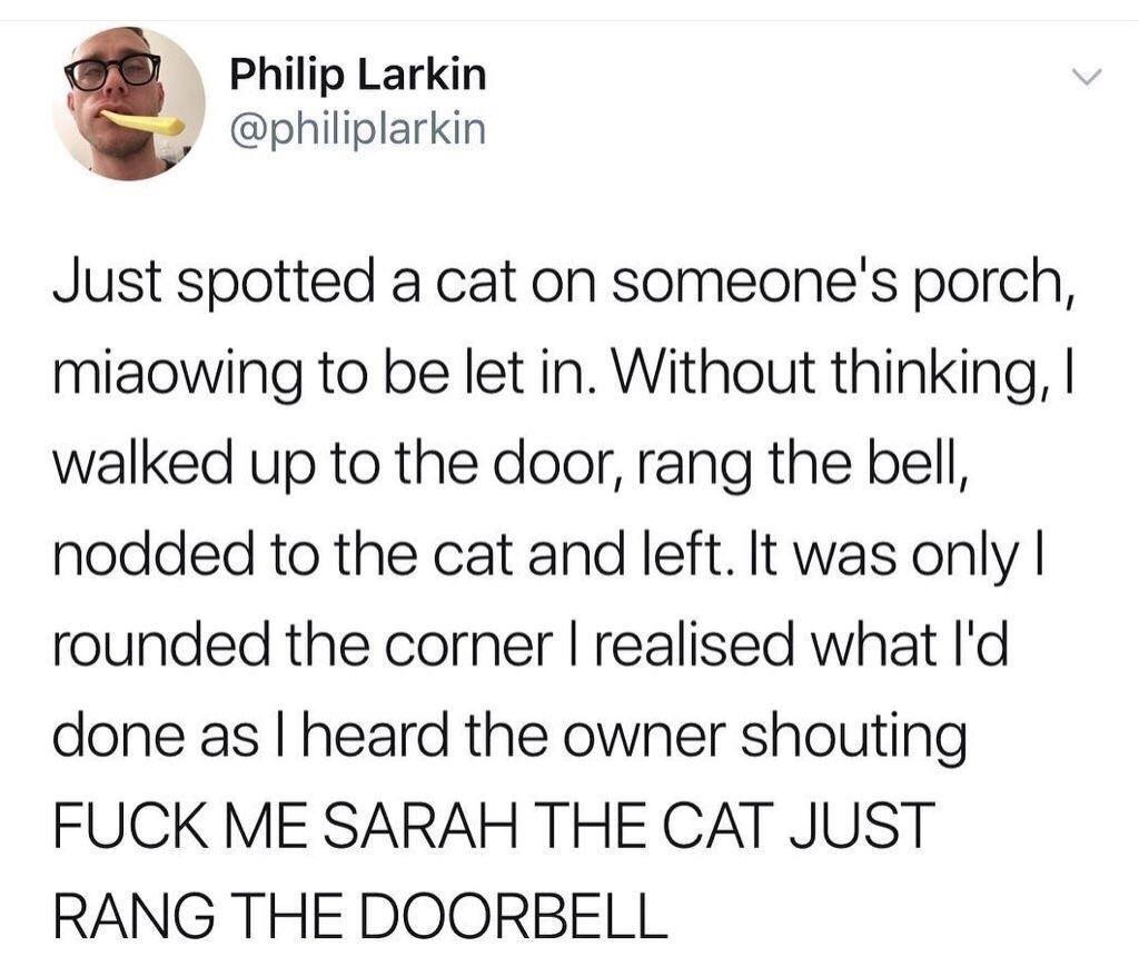 the cats are evolving r/WhitePeopleTwitter