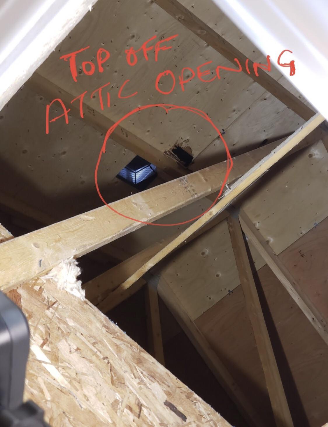 Can You Roof Over Wet Plywood? The Habit of Woodworking