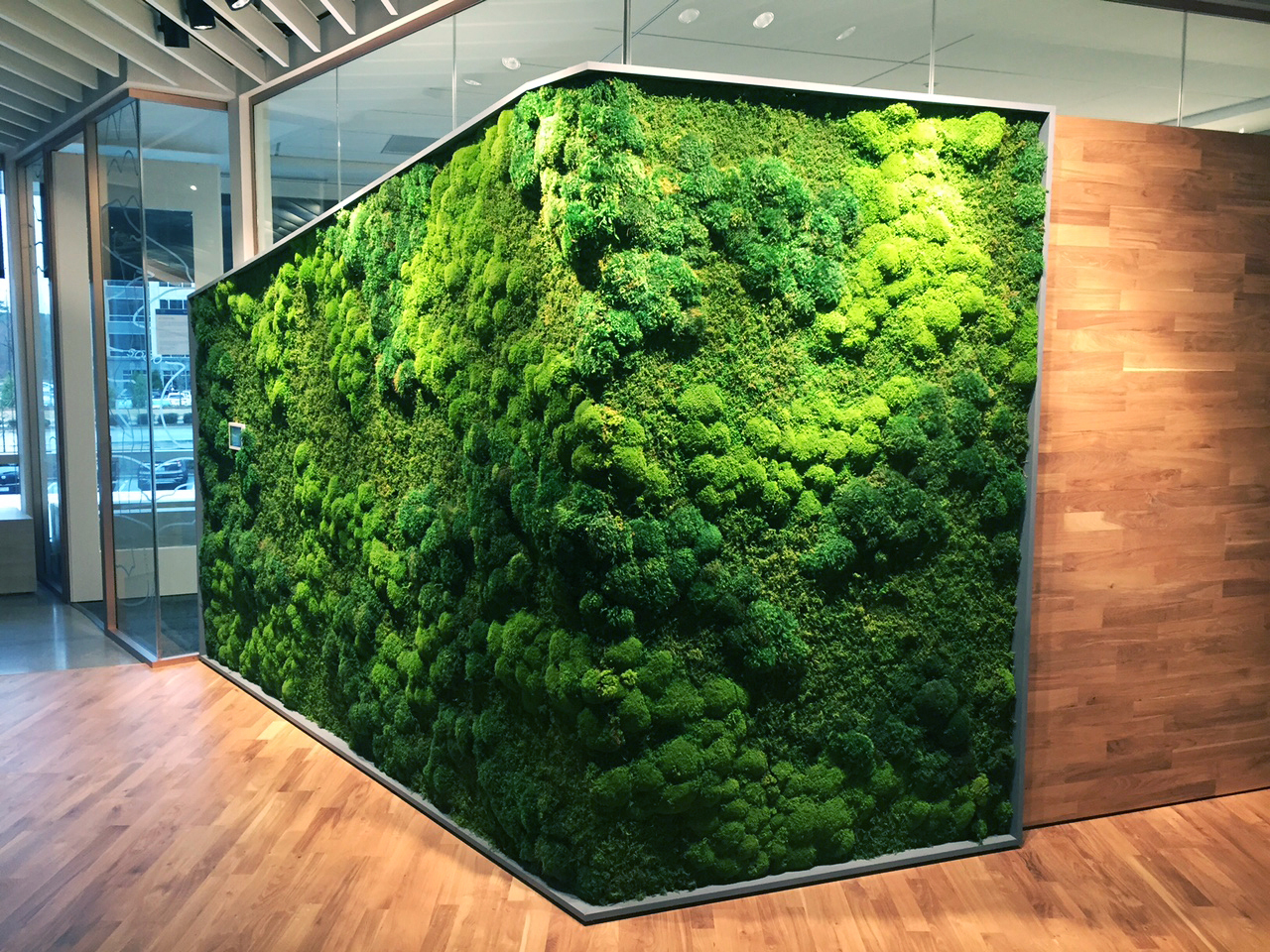 This moss wall turning a corner. r/mildlyinteresting