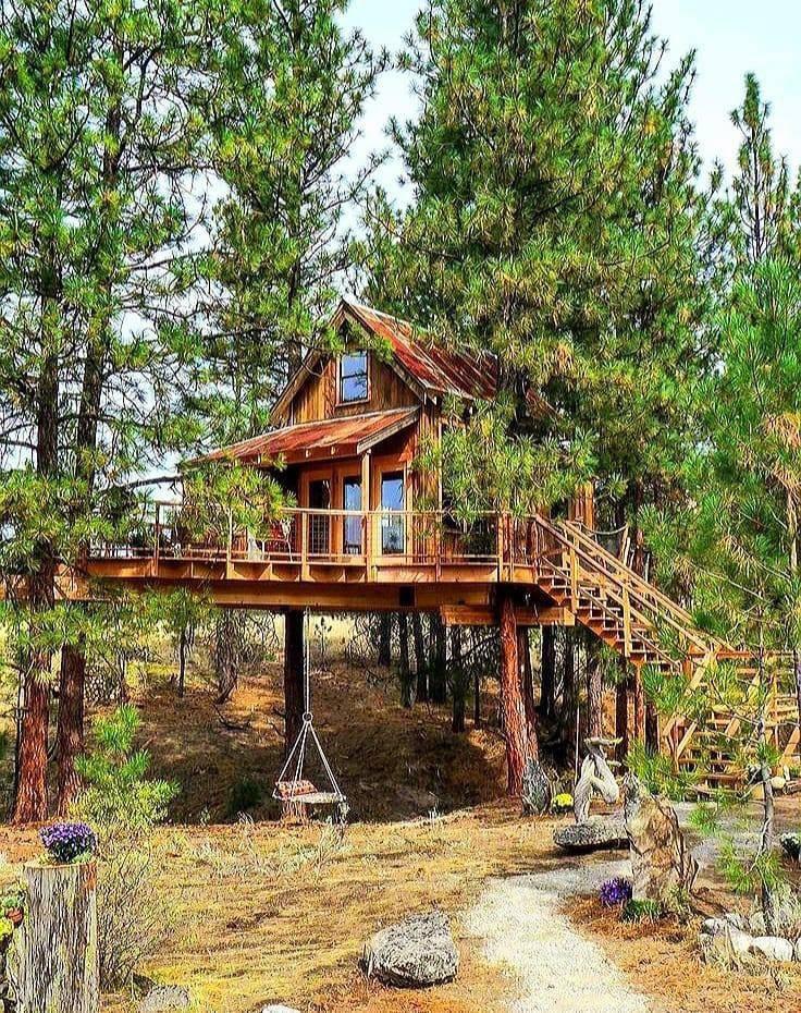 Off Grid Treehouse r/treehouse