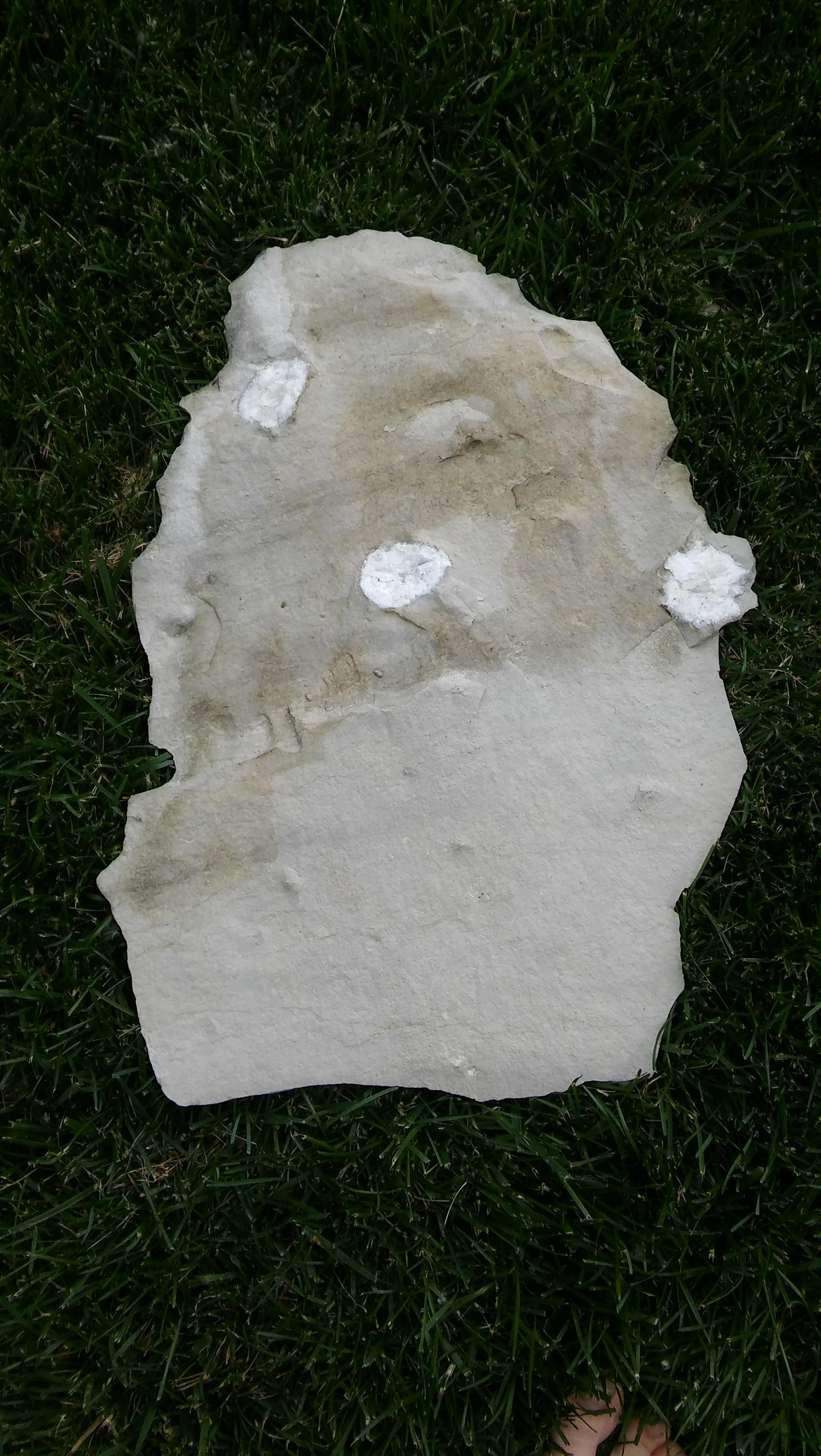 Just found this limestone slab with quartz in it. r/MineralPorn