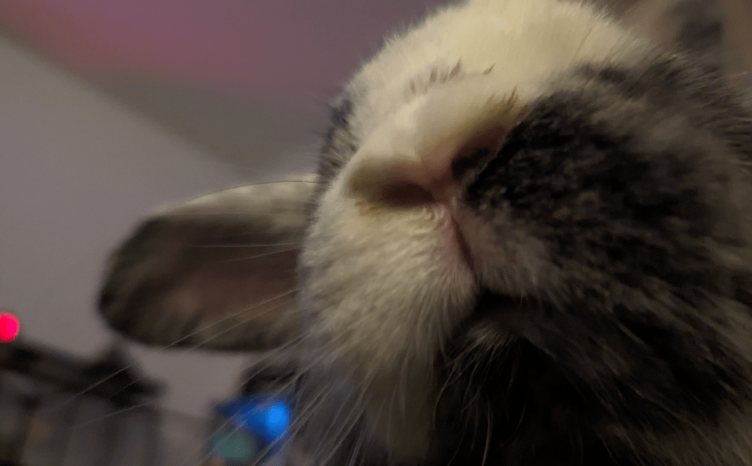 Mouth with messy boople snoot : mouf