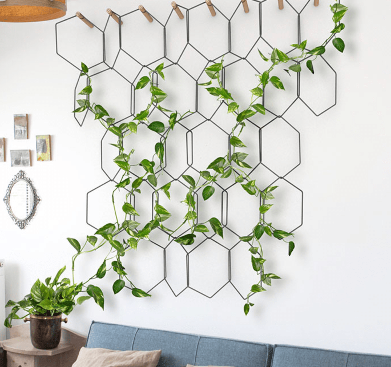 Where to find/how to DIY affordable indoor wall trellis? I want