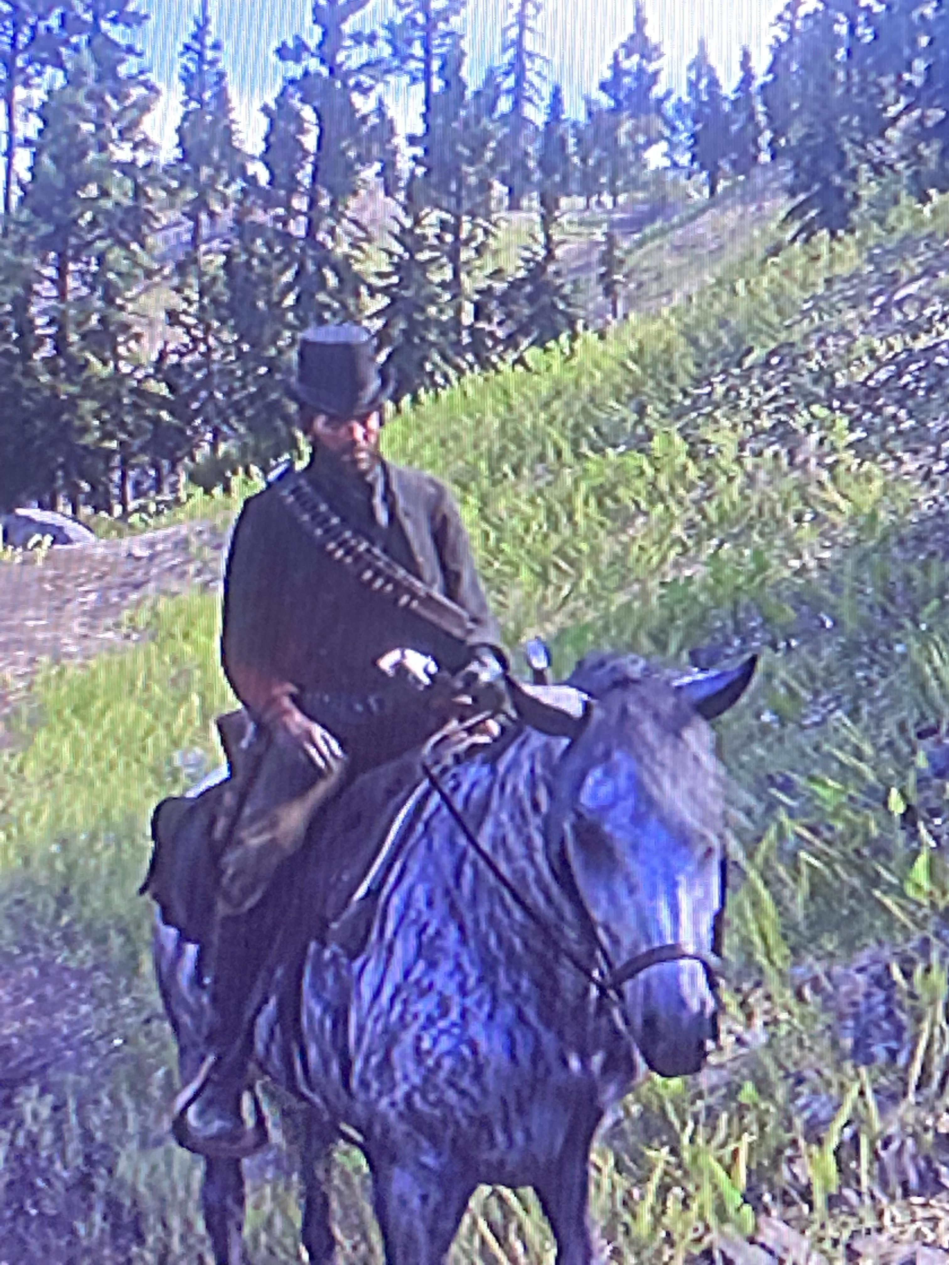 I stole the Mayor’s hat from Strawberry Town r/RDR2