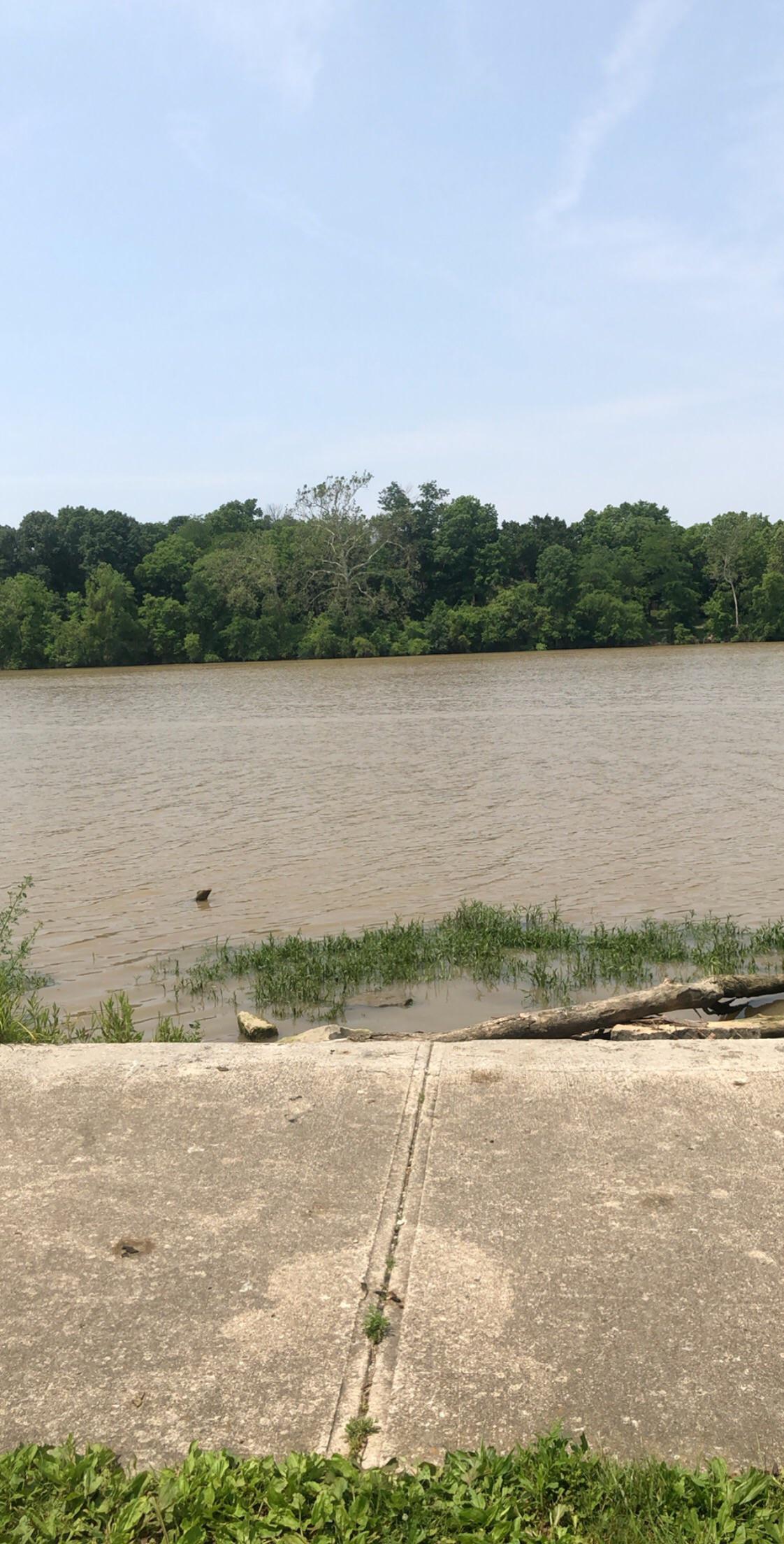 Griggs Reservoir r/Columbus