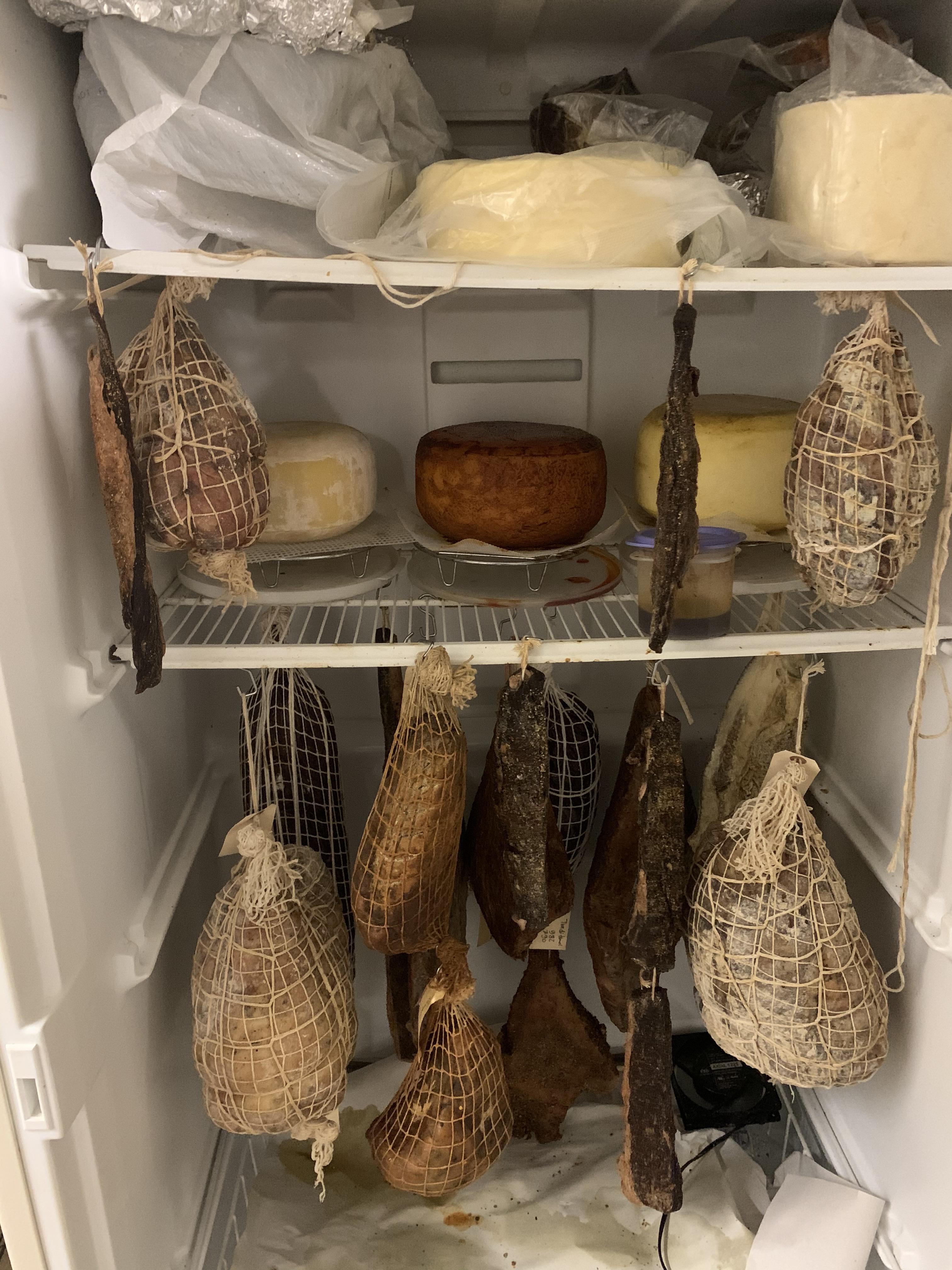 Whole muscle curing chamber r/Charcuterie