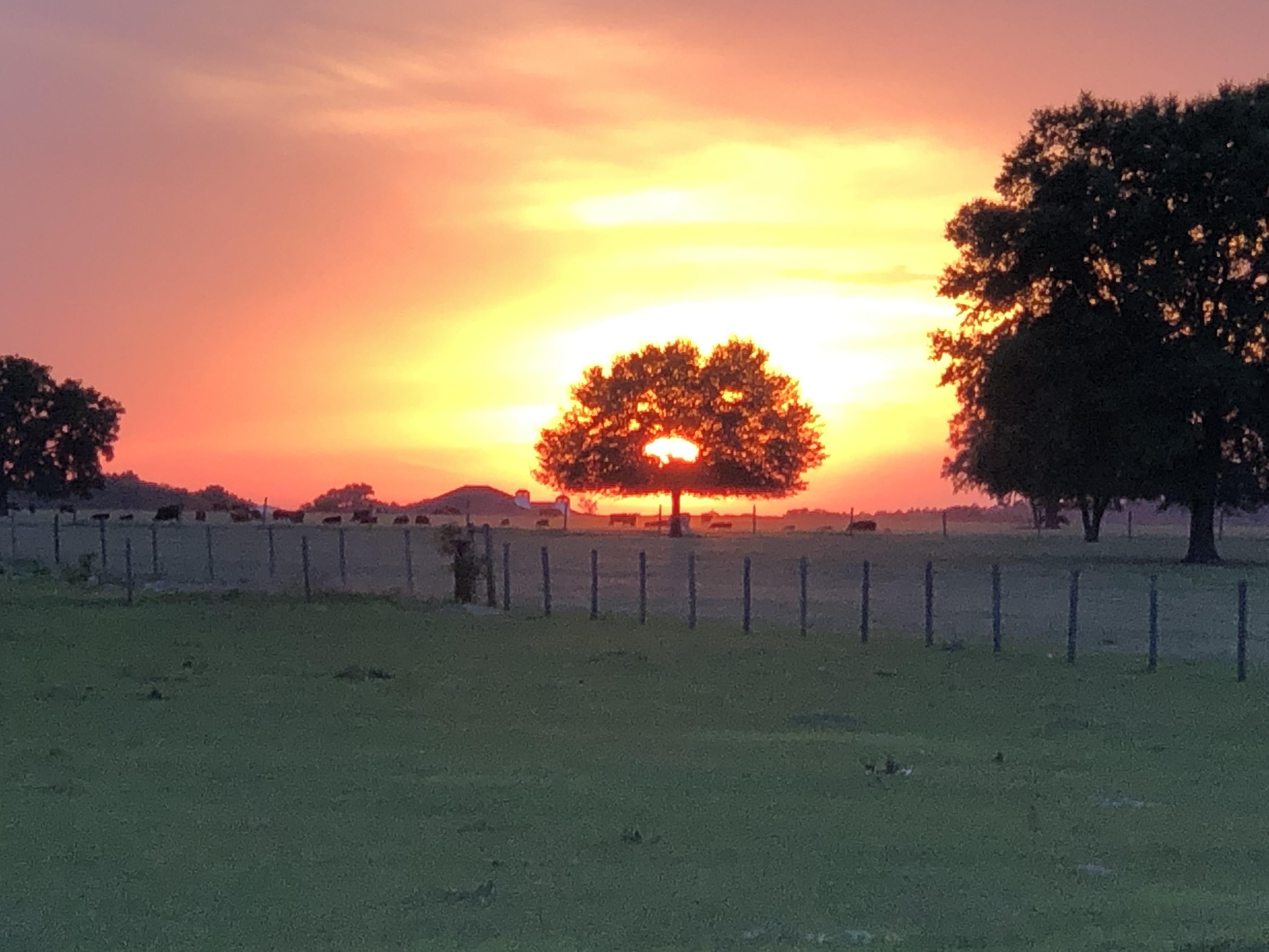 Weirsdale Fl sunset r/florida