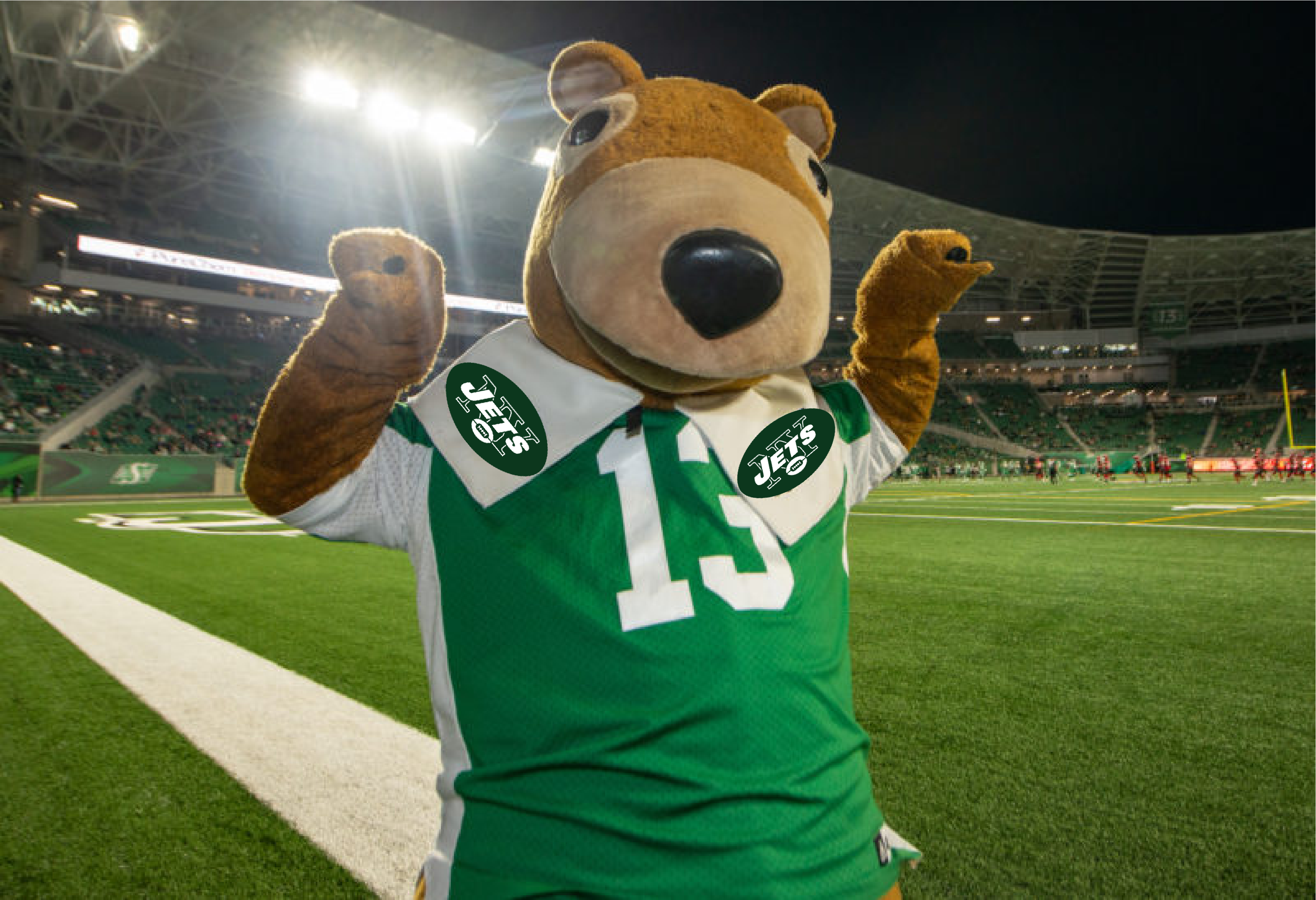 NY Jets Announce New Mascot r/CFL