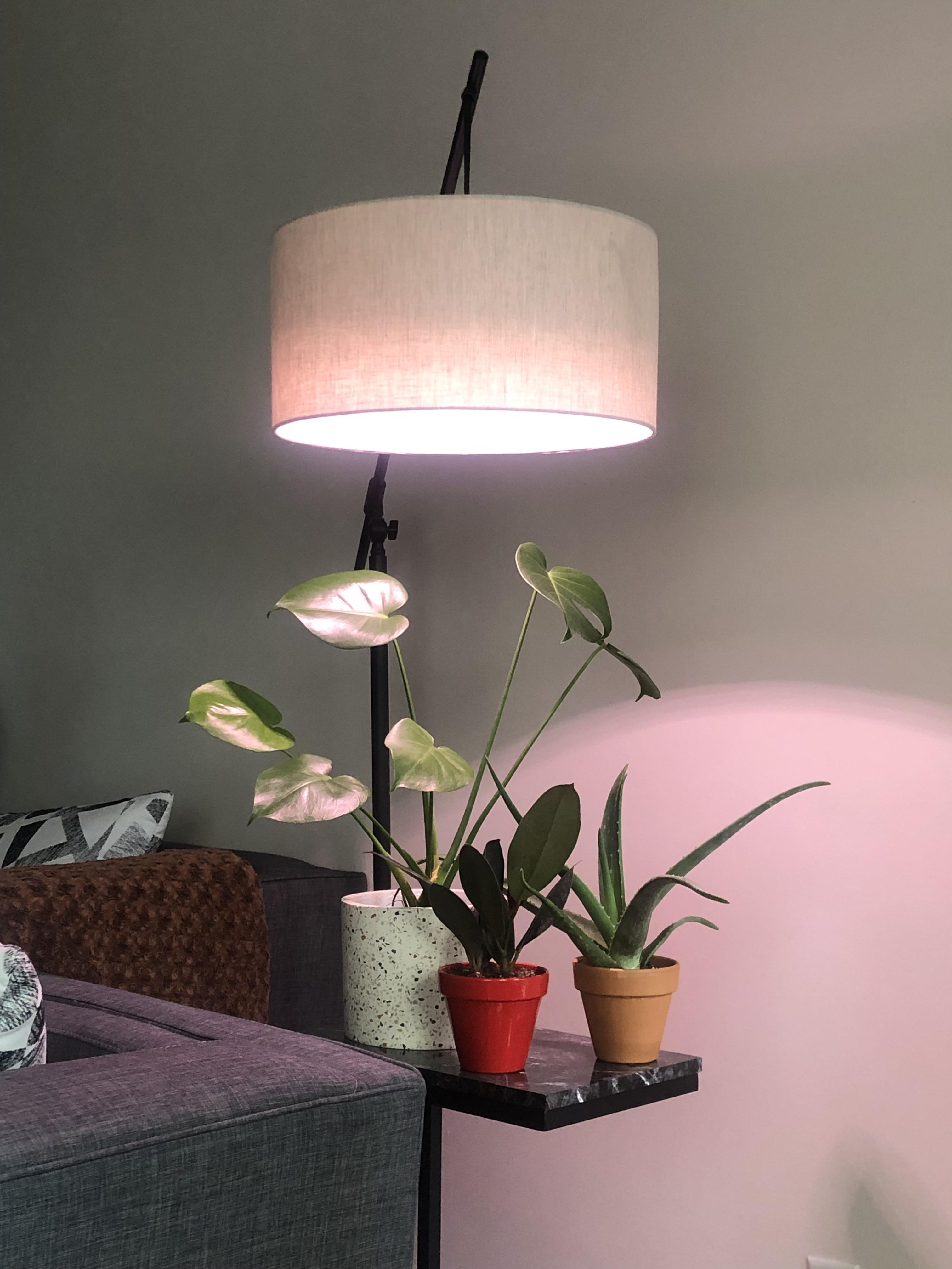 My new subtle LED growlight r/houseplants