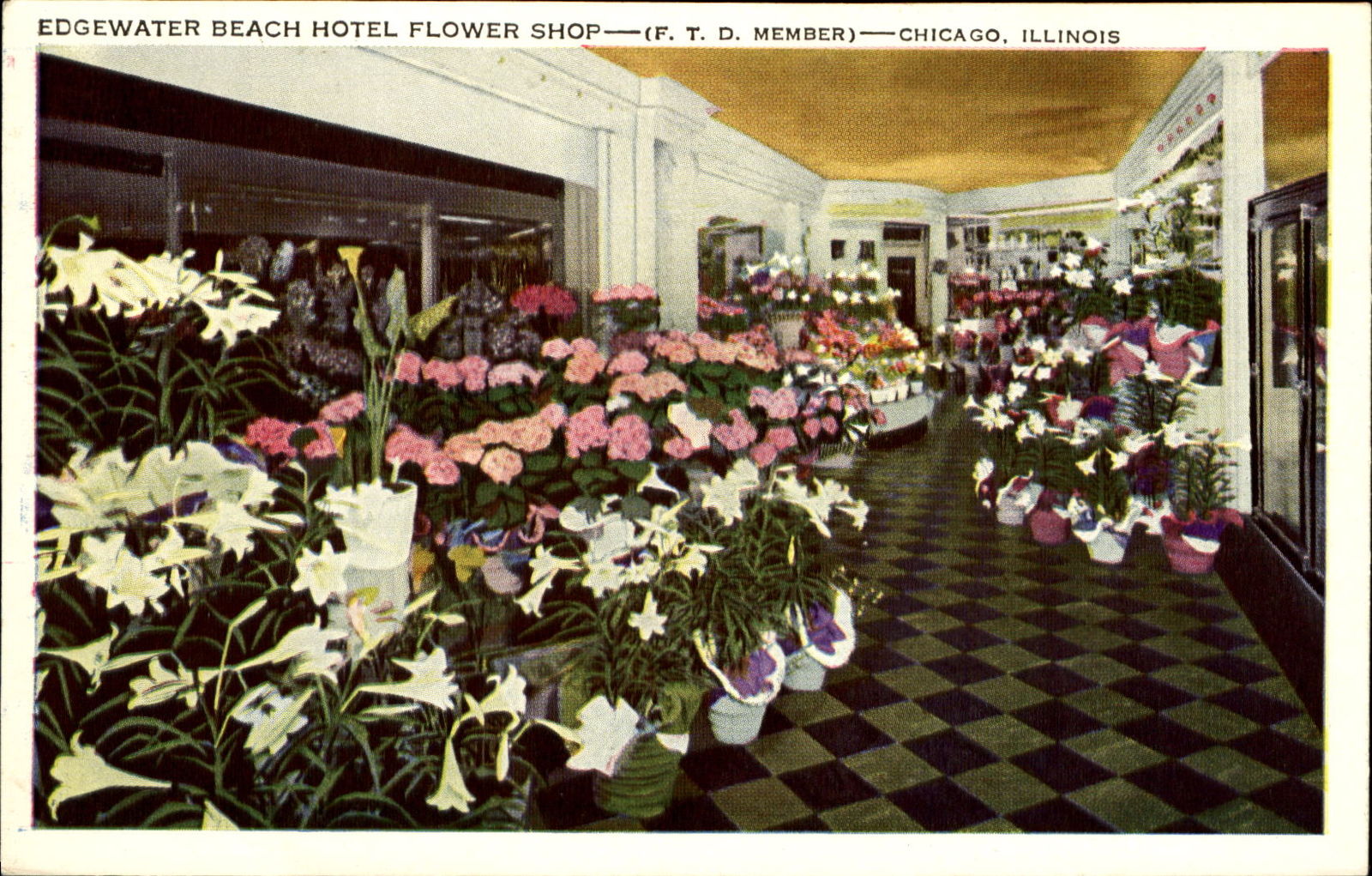 Here is a postcard from Edgewater Beach Hotel Flower Shop displaying