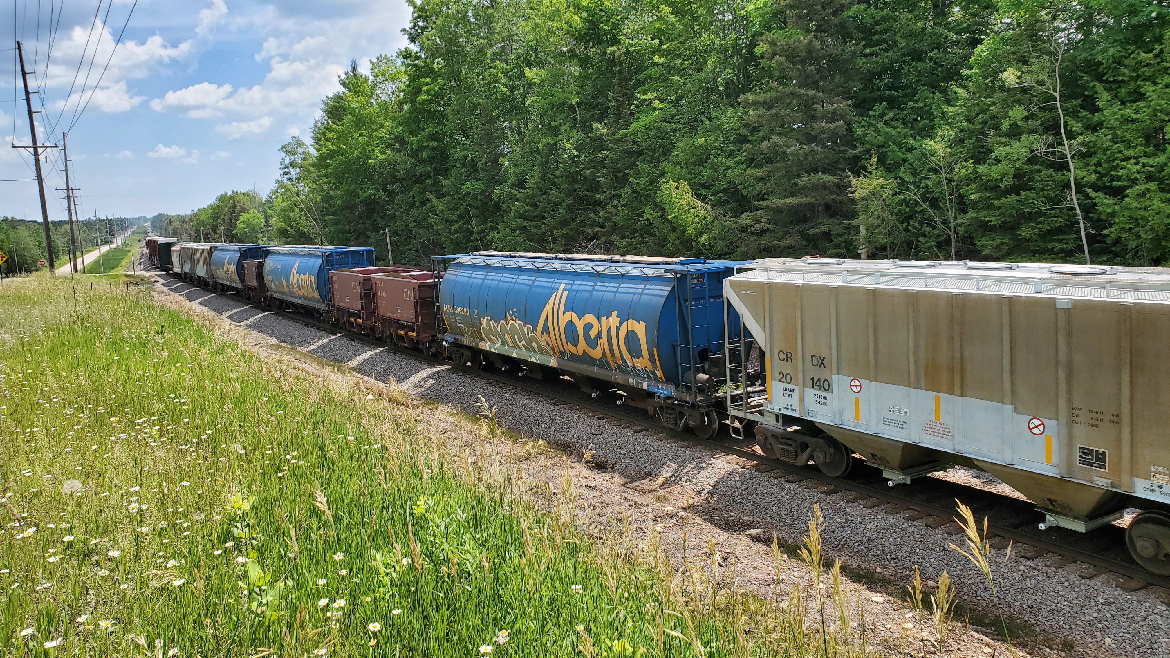 Some midtrain DMIR ore jennies on a long CN Manifest near Escanaba, MI