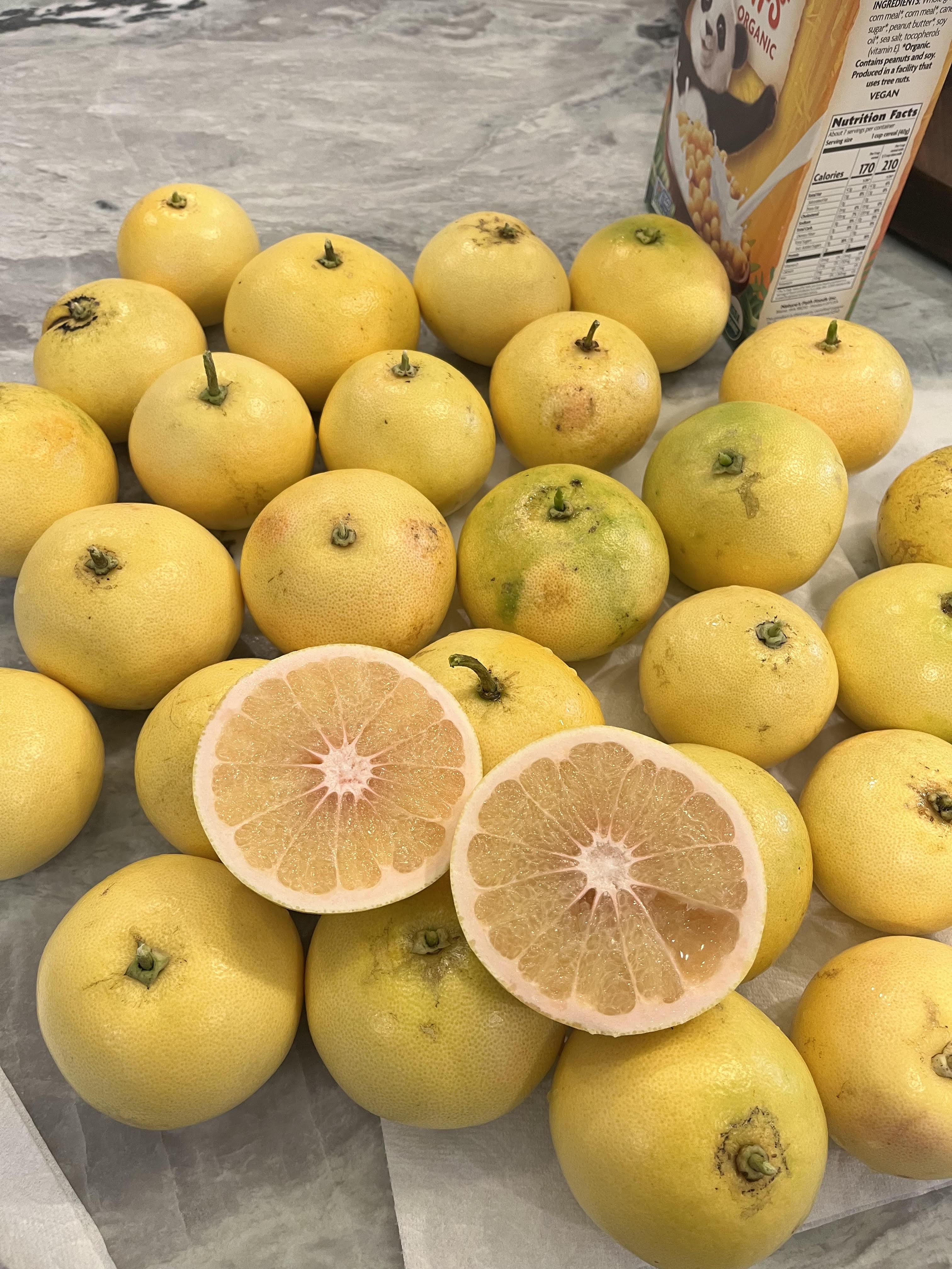 Help identifying the citrus growing on our tree (southern california