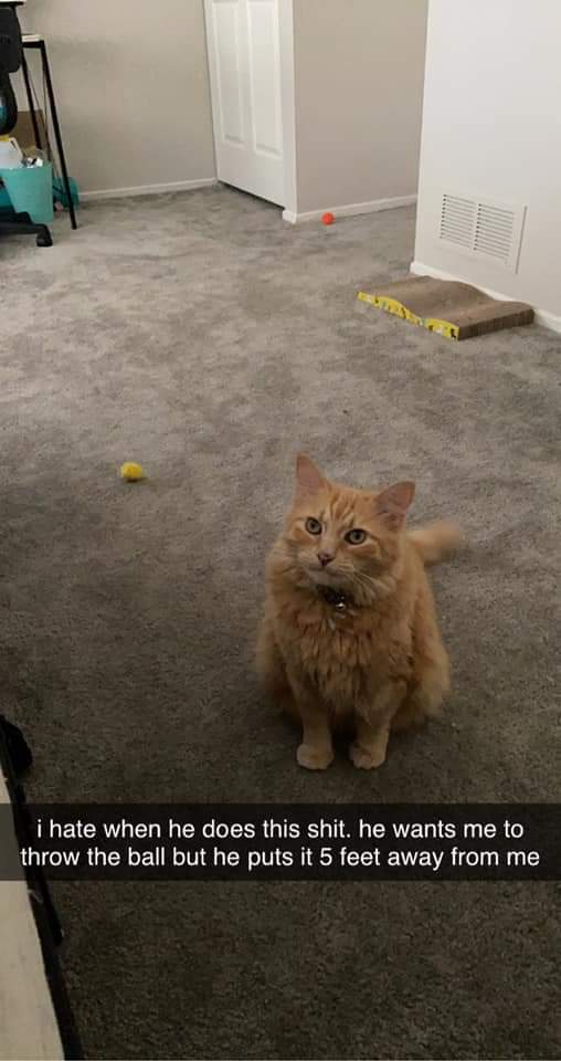 Reverse throw the damn ball. r/ThrowTheDamnBall