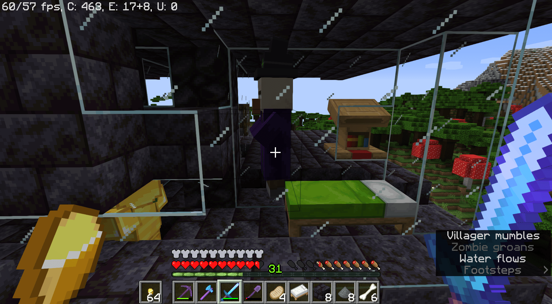 Can someone please tell me how a with got into the cell of my villager