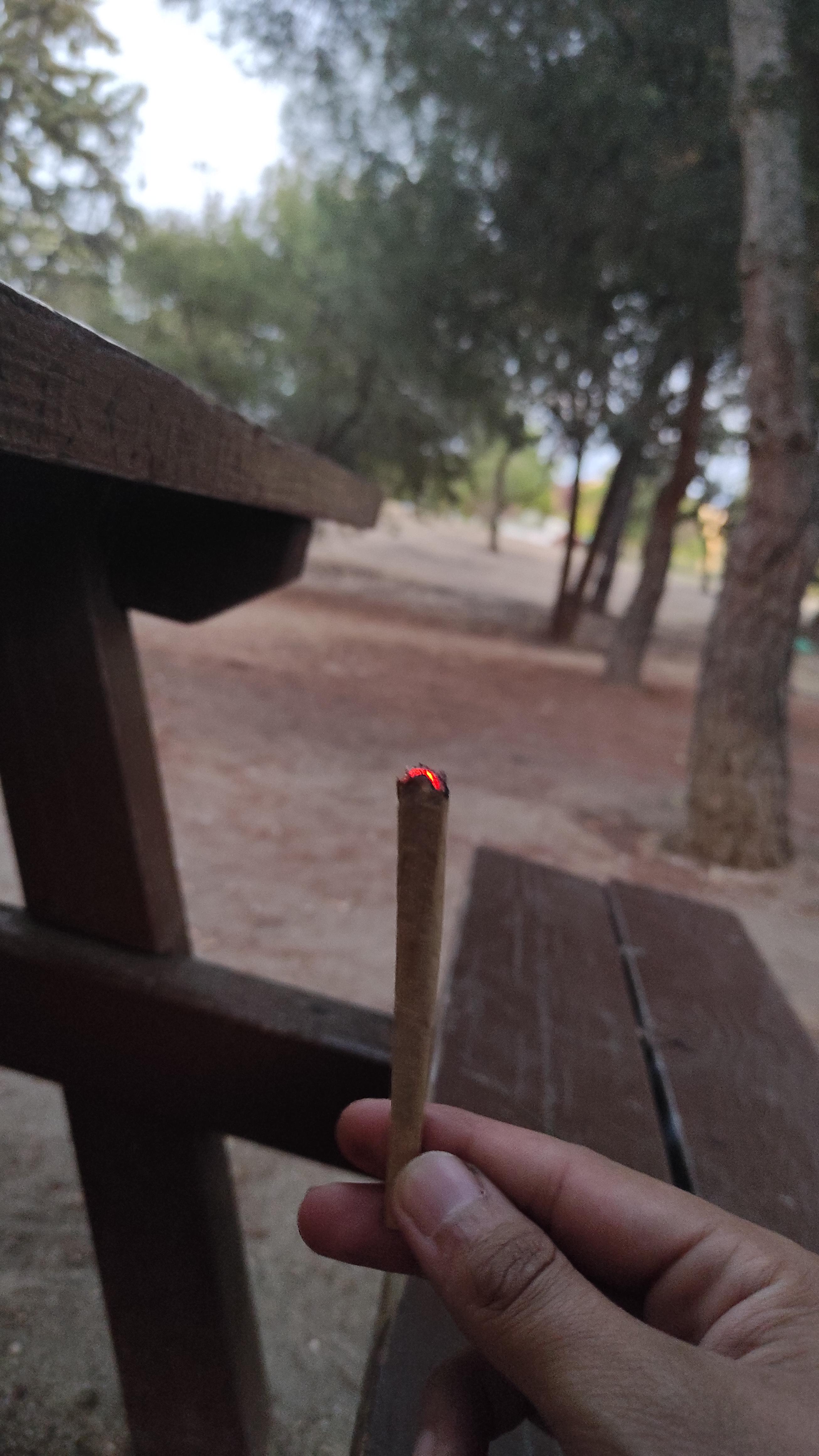 Big hash spliff in nature😎 r/weed