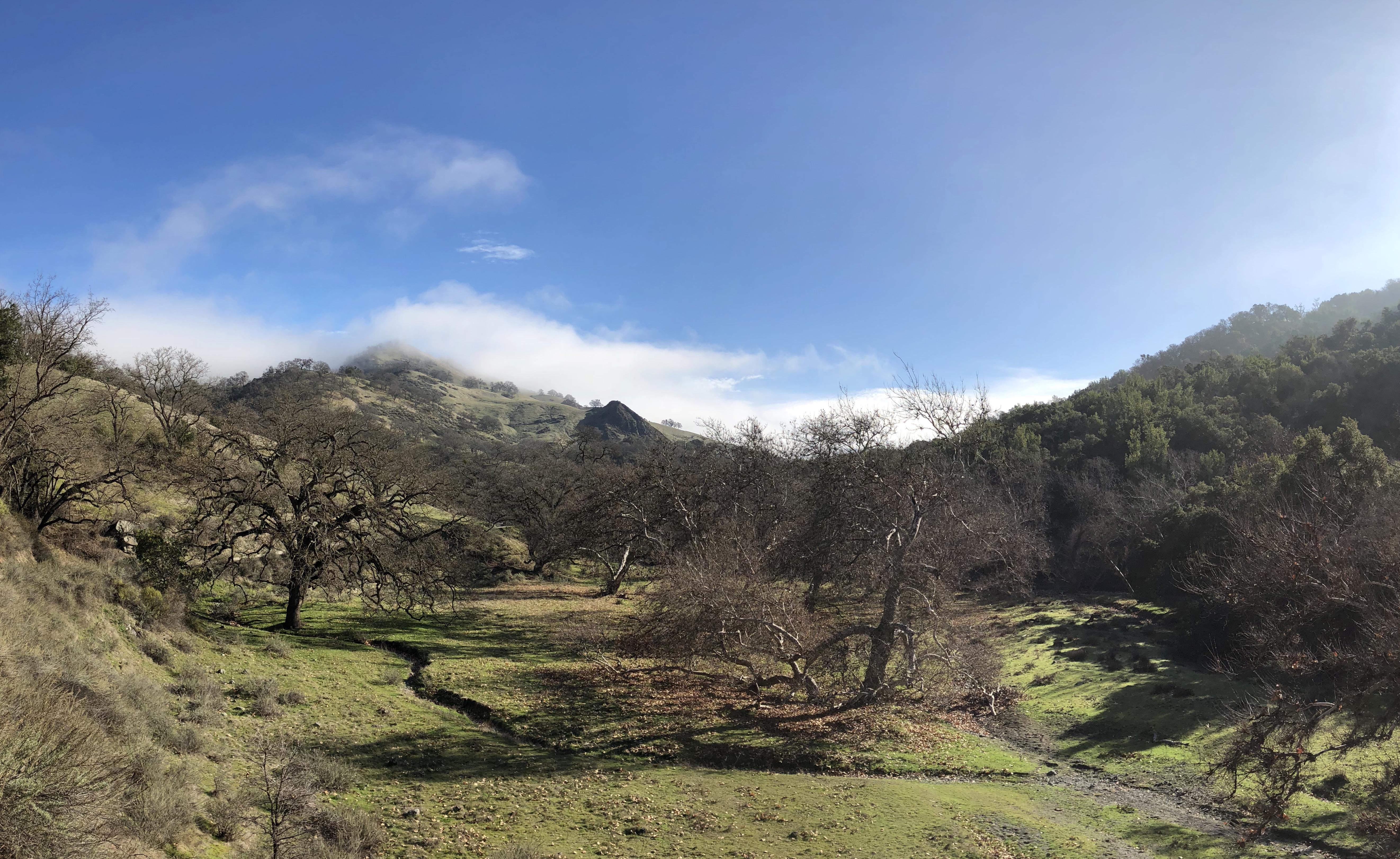 Sunol Regional Wilderness, California [5287 × 3244] [OC] r/EarthPorn
