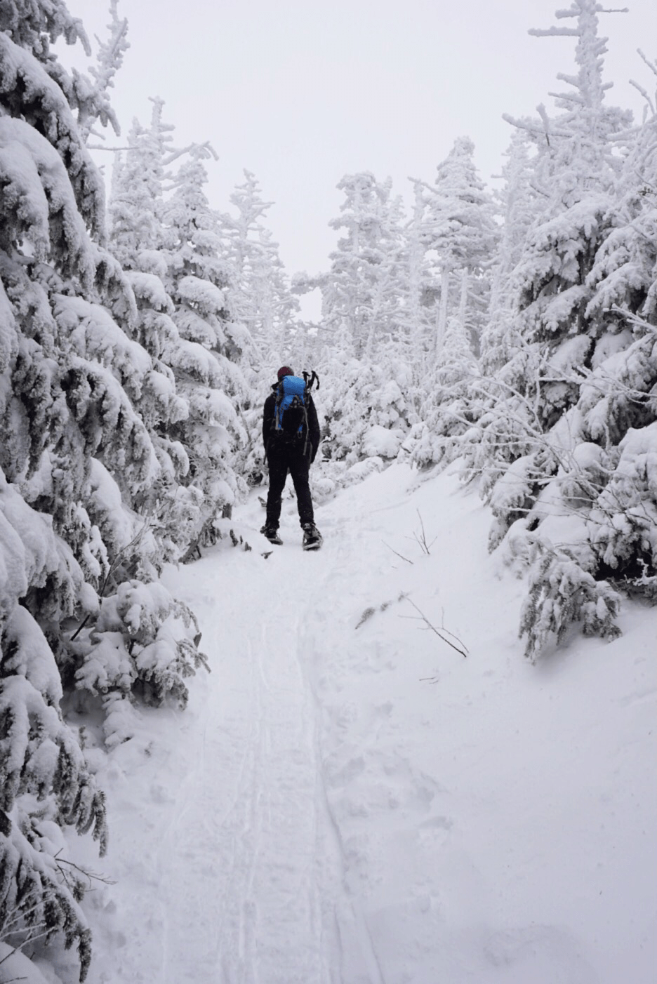 Mt. Jackson, NH two weeks ago. They’re not called the White Mountains