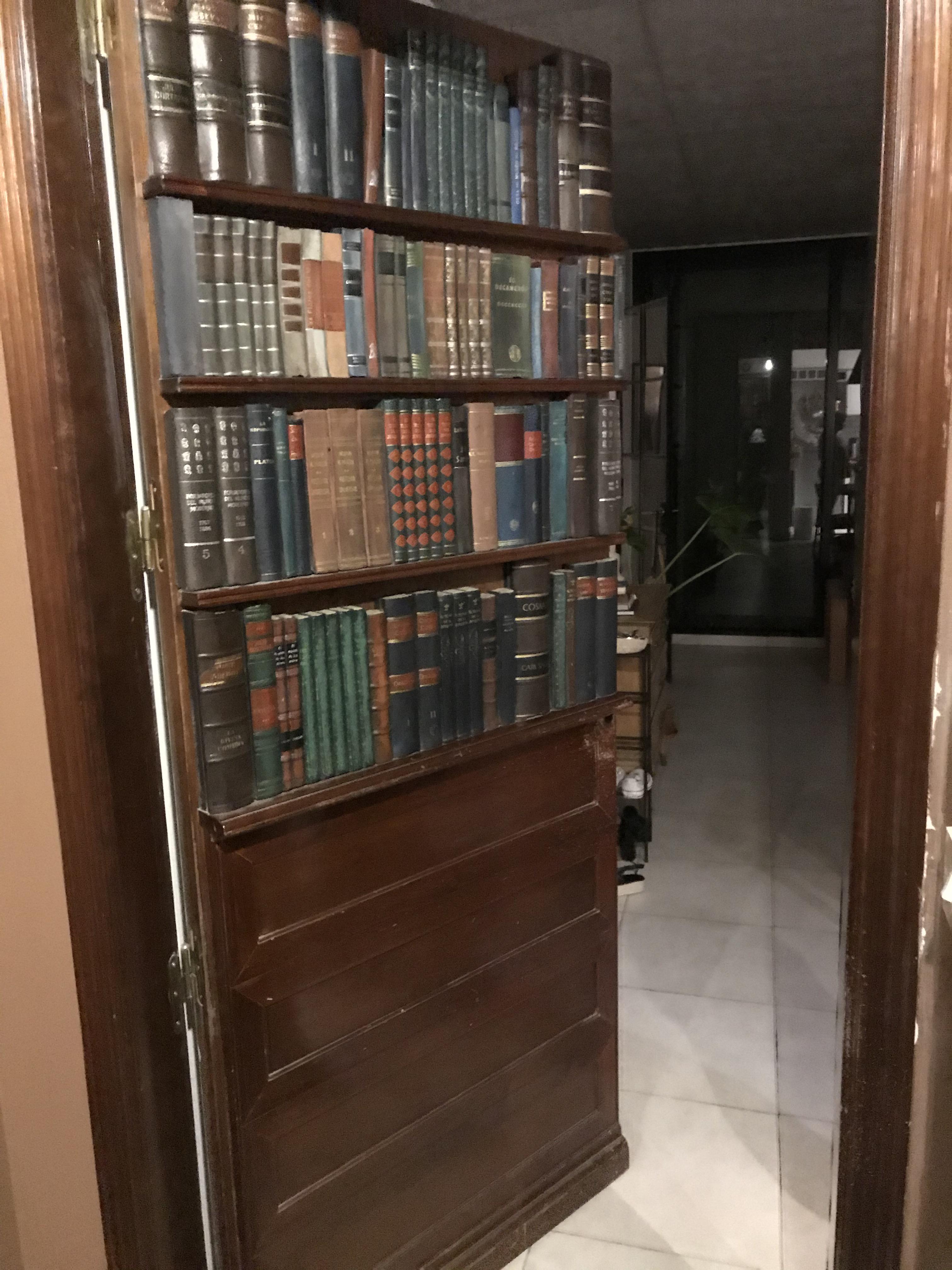 This door that looks like a bookshelf r/mildlyinteresting