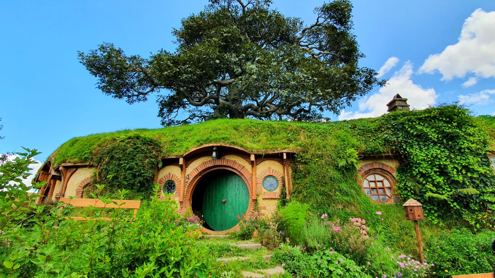 The hobbit hole, New Zealand r/pics