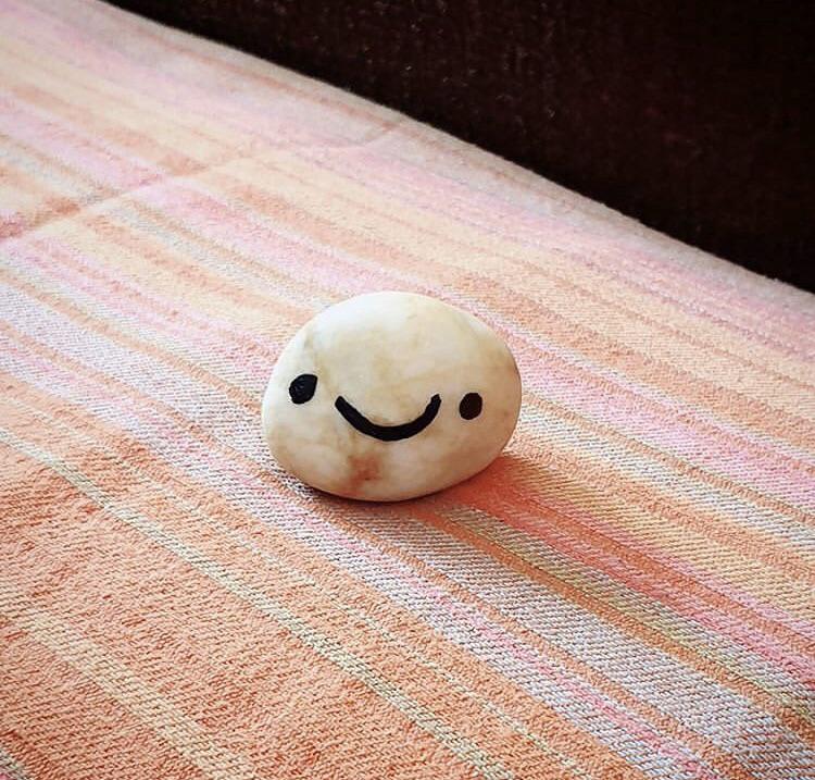 Am I a cute pet rock (??? r/aww