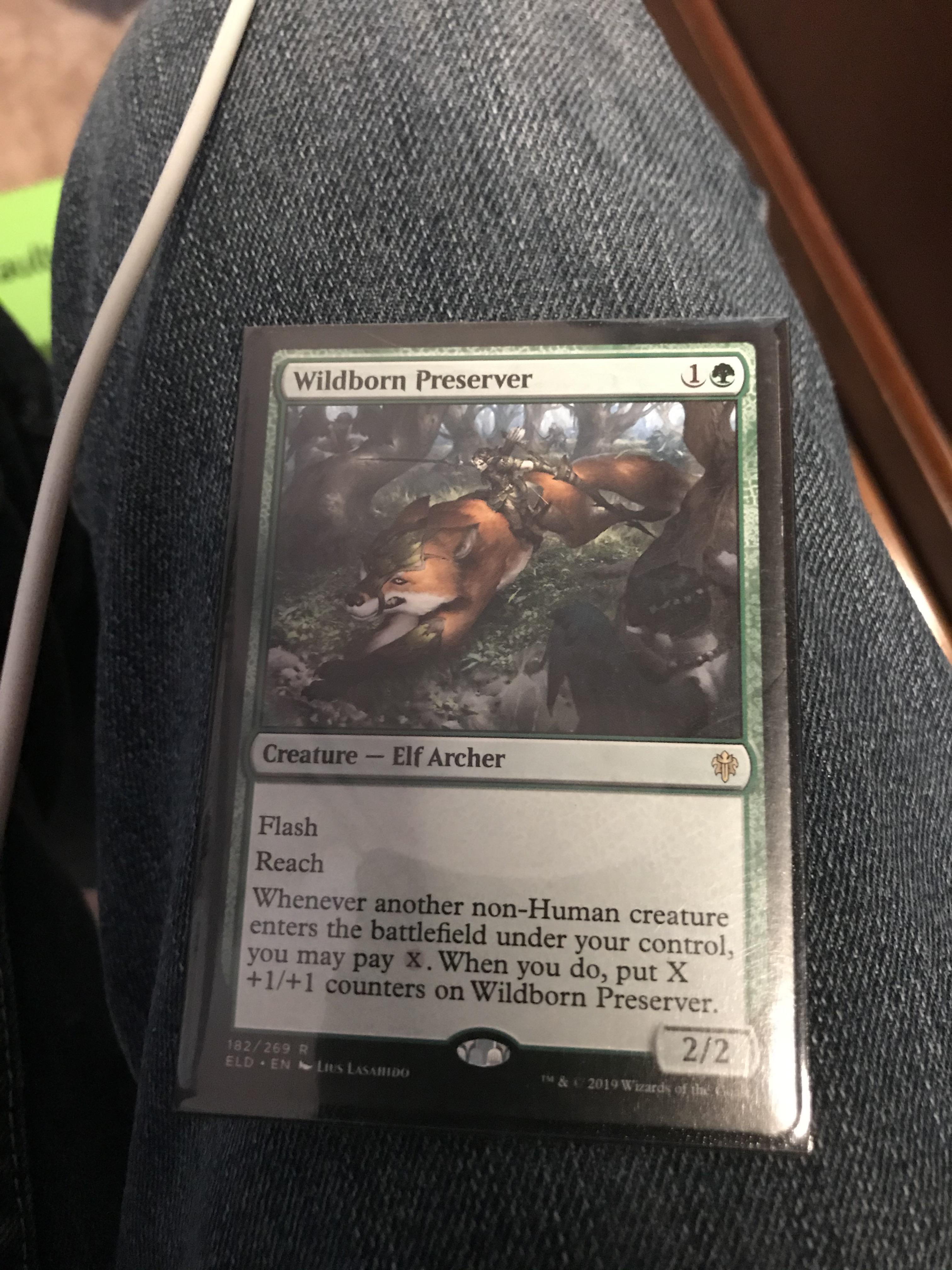 This is my pet card, his name is Todd r/mtg