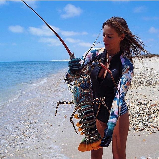 Lobsterwoman r/UNBGBBIIVCHIDCTIICBG