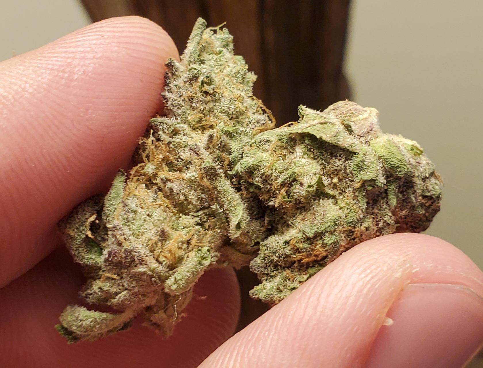 Ice Cream Cake by Evermore (3 terps) r/MDEnts