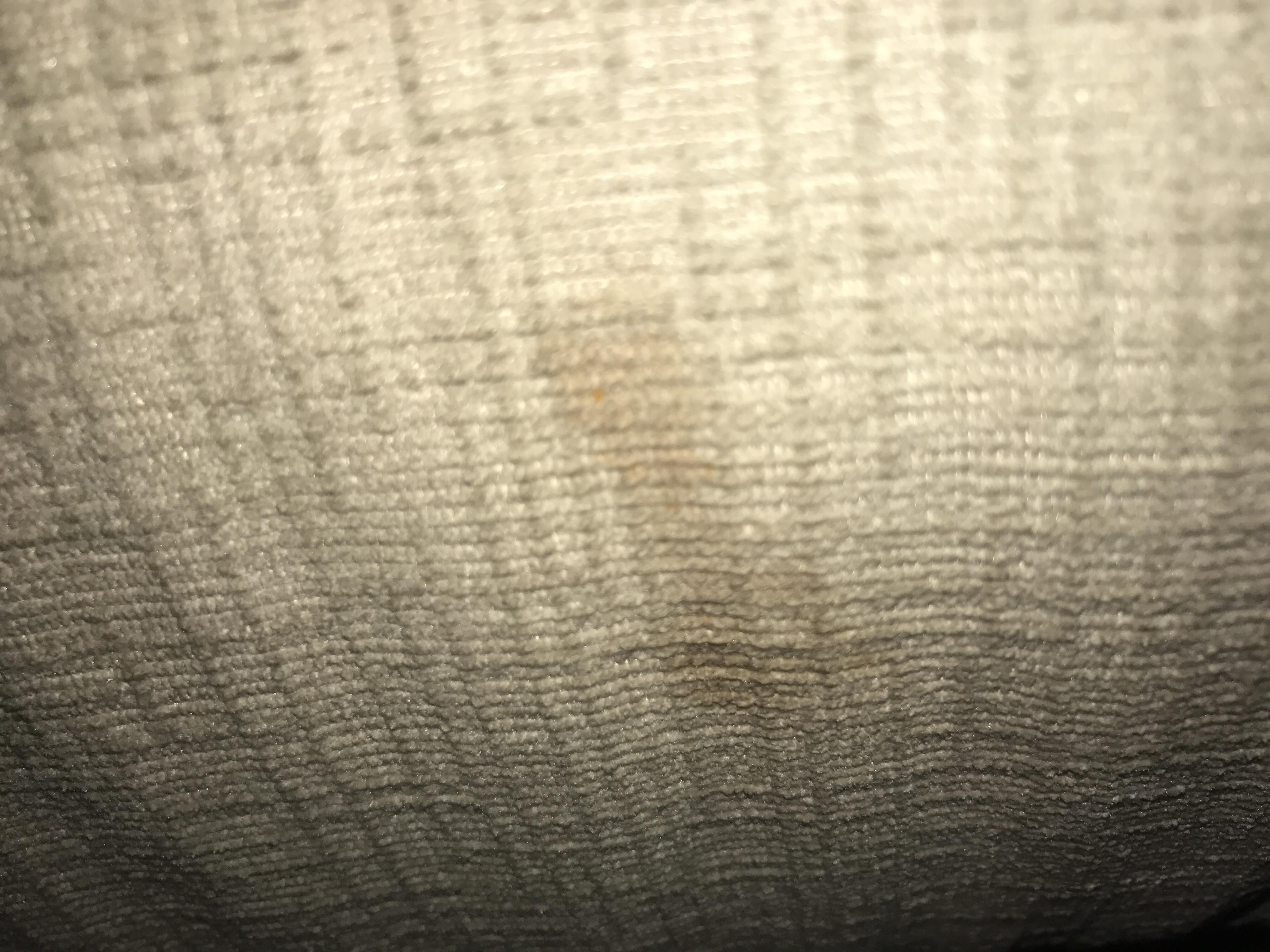 Help! How do I clean this ketchup stain on my sofa please help mee r/CleaningTips