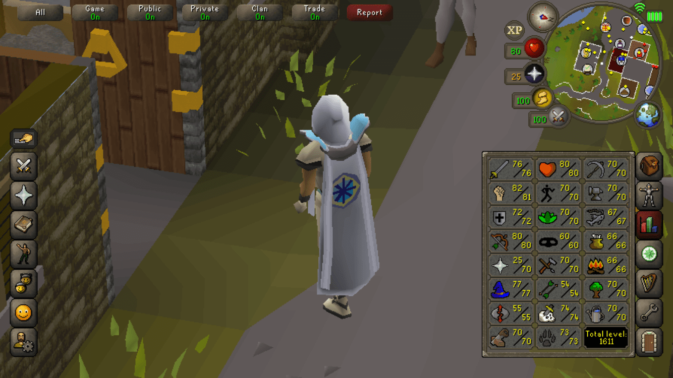 Obtained the quest cape finally, was the main goal when I started around 5 months ago. Is this