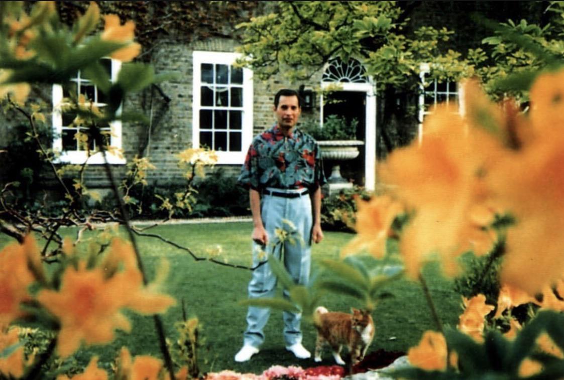 One of the last known photos of Freddie Mercury, taken by his partner