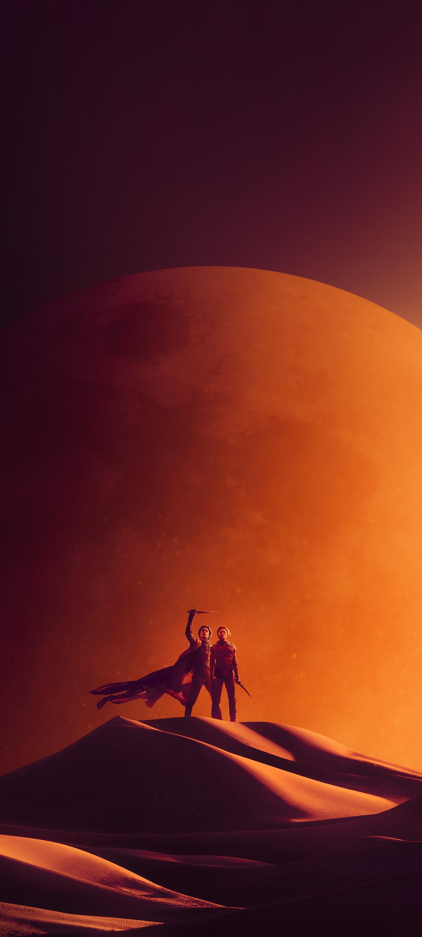 Dune Part Two wallpaper [1350x3000] r/MobileWallpaper