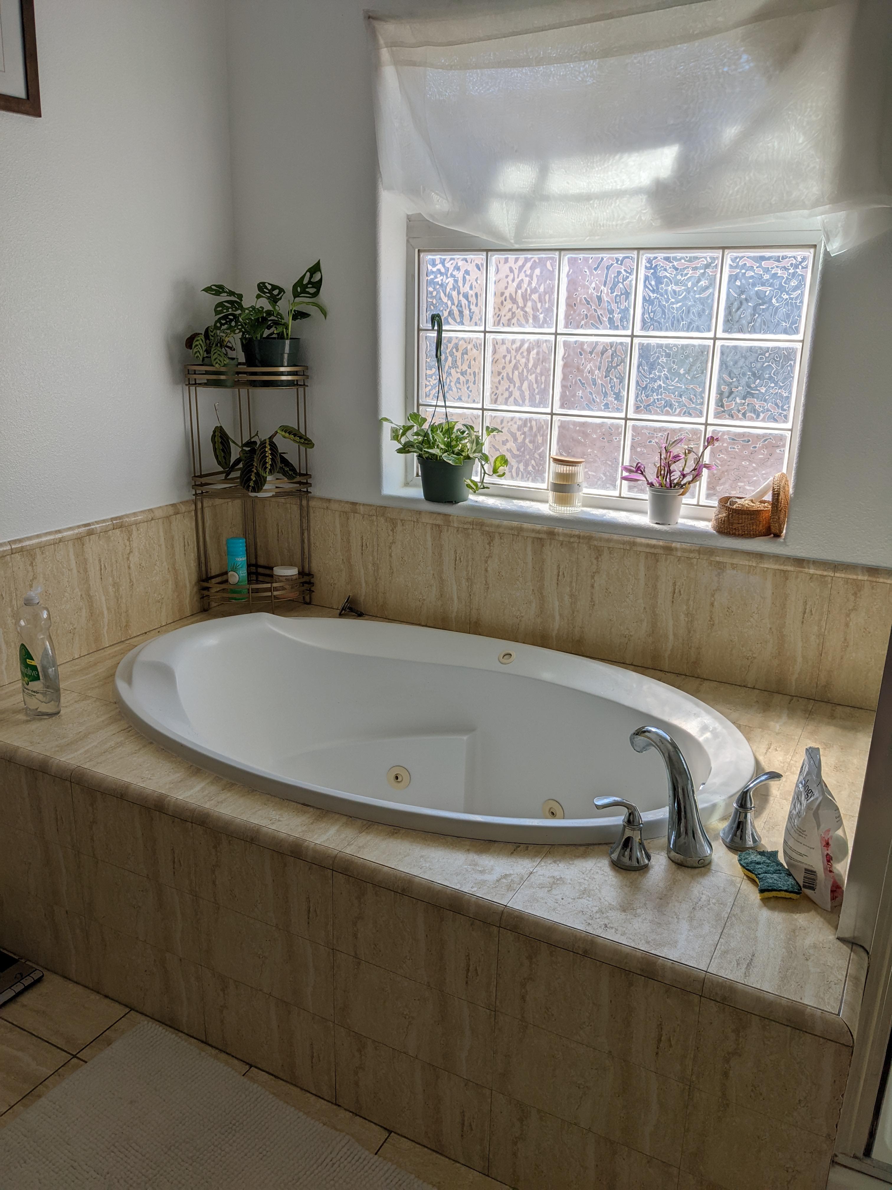 Are my plants on the left getting enough light in the corner against