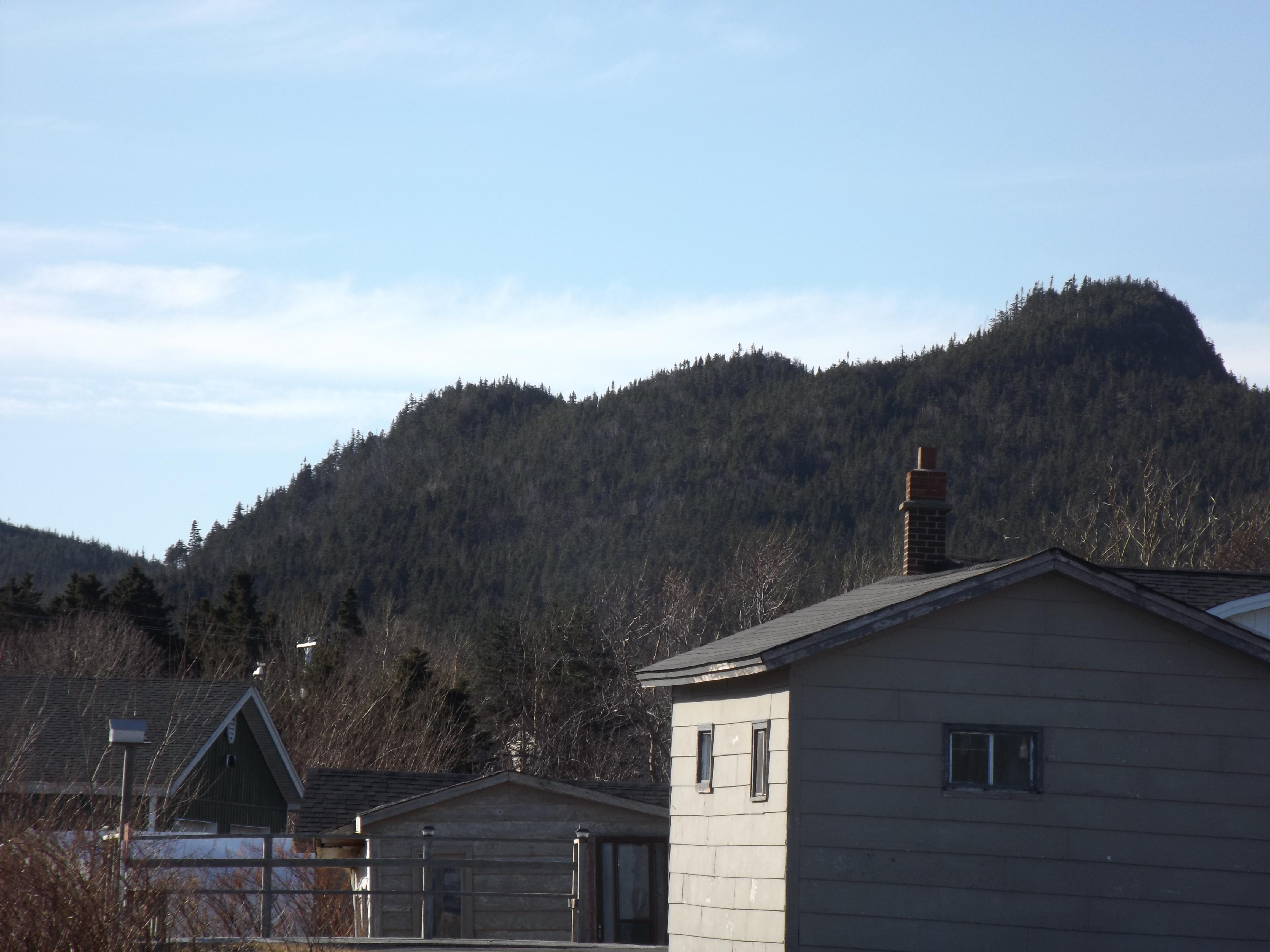 Norman's Cove r/newfoundland